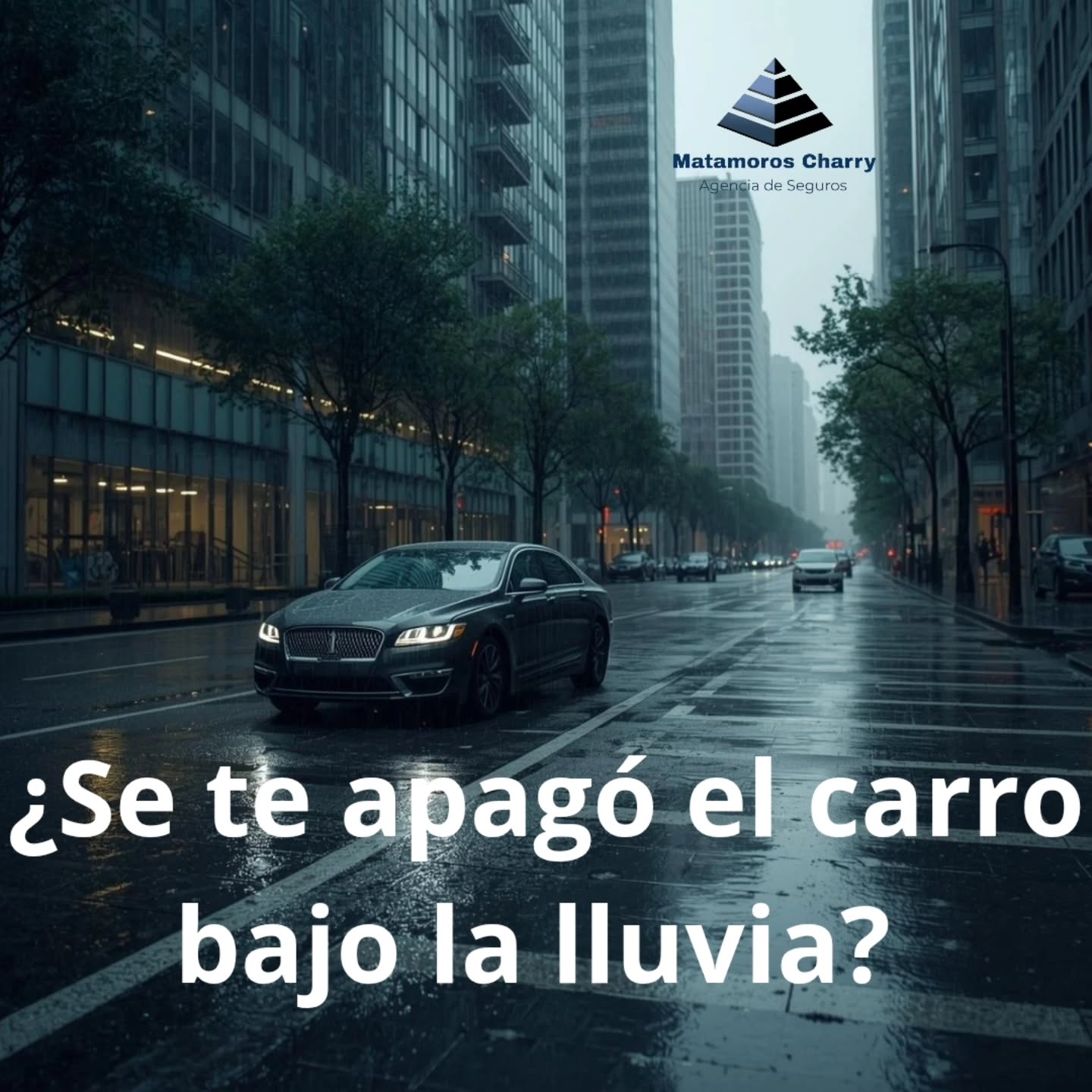 El seguro de auto, cuida de ti de tu carro y de los demás. Cotiza tenemos diferentes opciones.