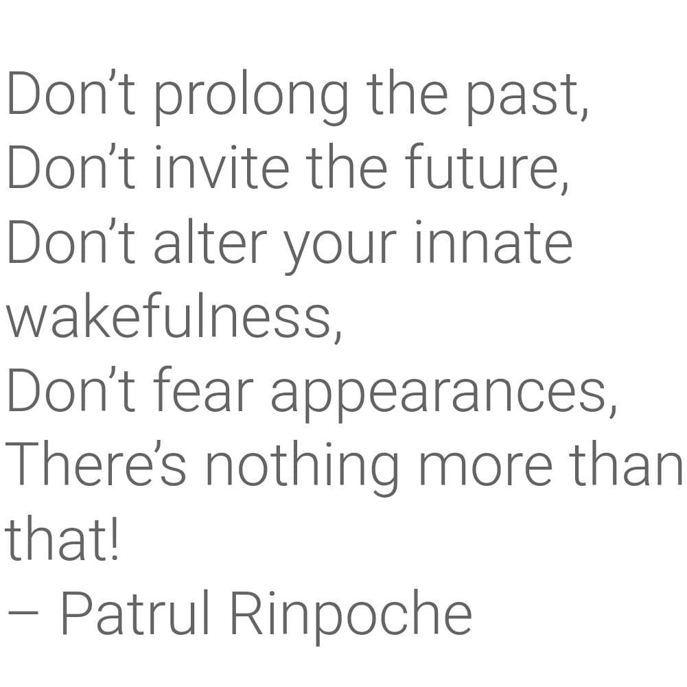 #wordstoliveby #patrulrinpoche #ramdass #corbywelch