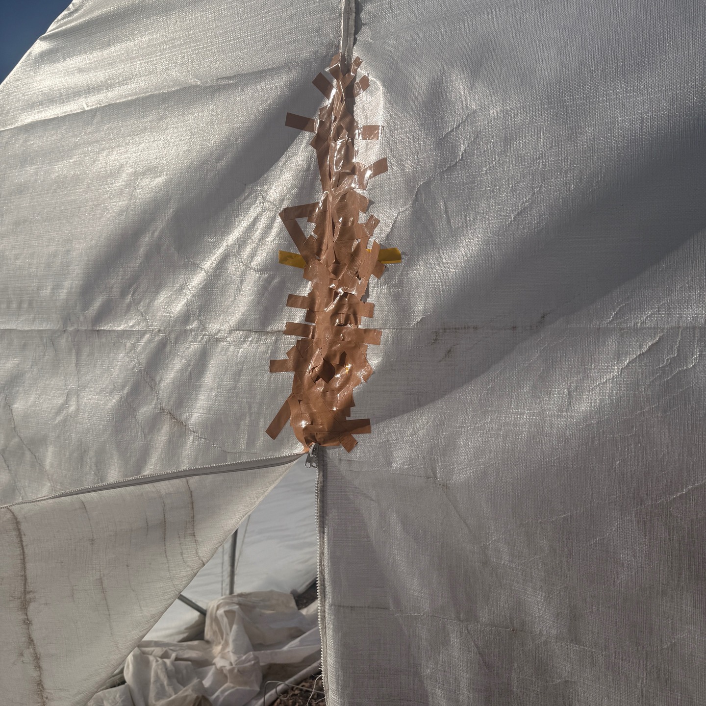 This is a glimpse of our farm in early spring. It's not quite pretty, but to me it feels like love. We are lifting the sides of the tunnels during the day, and closing everything up with blanketed beds if the evenings drop below 30. This week we will be getting some chilly chilly weather. And while I'm so grateful for it, we have had such warm fair weather that it has tricked the plants to come alive. Sooooo, this week you'll catch me willing plants, that woke up too early, to stay strong, and alive and to keep growing. I'll put a little heater in my high tunnel just to cut the chill. And all the Larkspur and pretty cool tolerant flowers outside the tunnels will be covered in leaves, and possibly some frost cloth. It's a dance daily to keep them alive, so we all can have spring flowers. Thank you for trusting us when you get a flower share. And now is the time to cover your plants for this week. oh, and if you think of it, saying a little prayer for everything in the harsh elements would be beautiful.