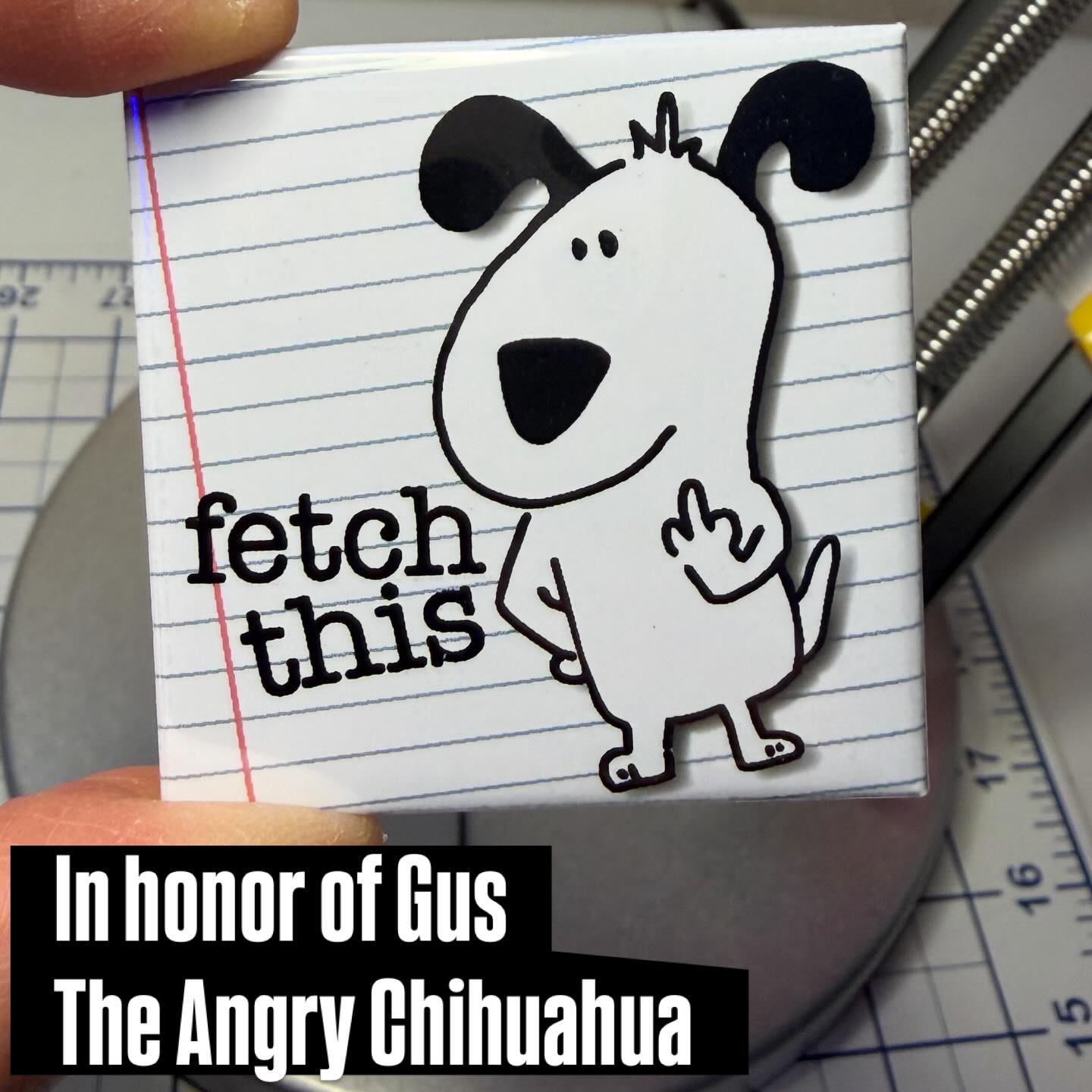 If Gus met the president . . .
#wedontdeservedogs
#dogsarepeopletoo
#dogmuse
#fridgemagnets
#supportartists