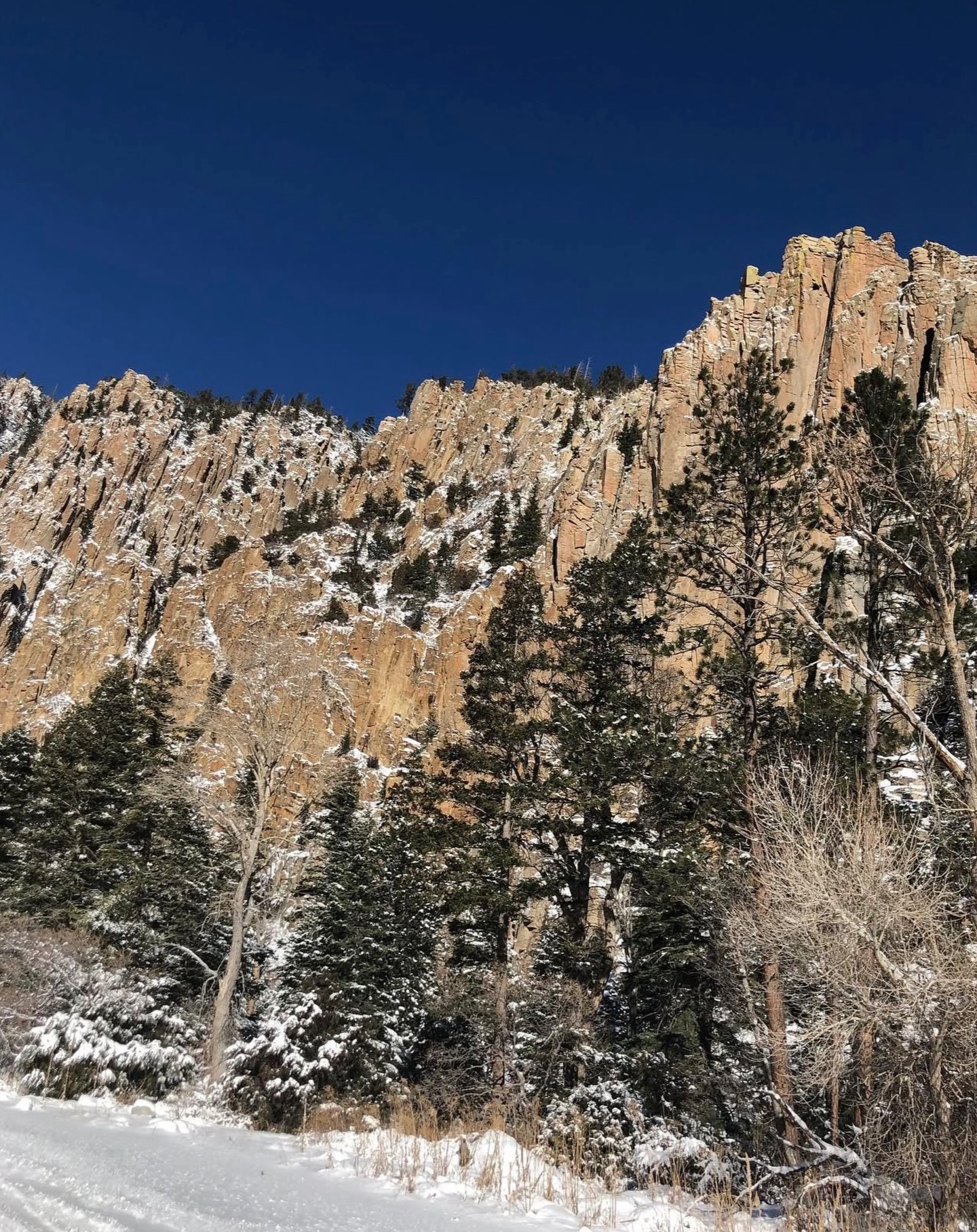 ❄️ A drive through snow dusted towers >>>
Will we get one last snowfall before winter ends? Comment a ⛰️ if you think so!
📍: Cimarron Canyon State Park • Palisades Sill
📸: Bambi Y.
#TheWildDivide #ColfaxCounty #VisitColfaxCounty #NewMexico #NewMexicoTrue