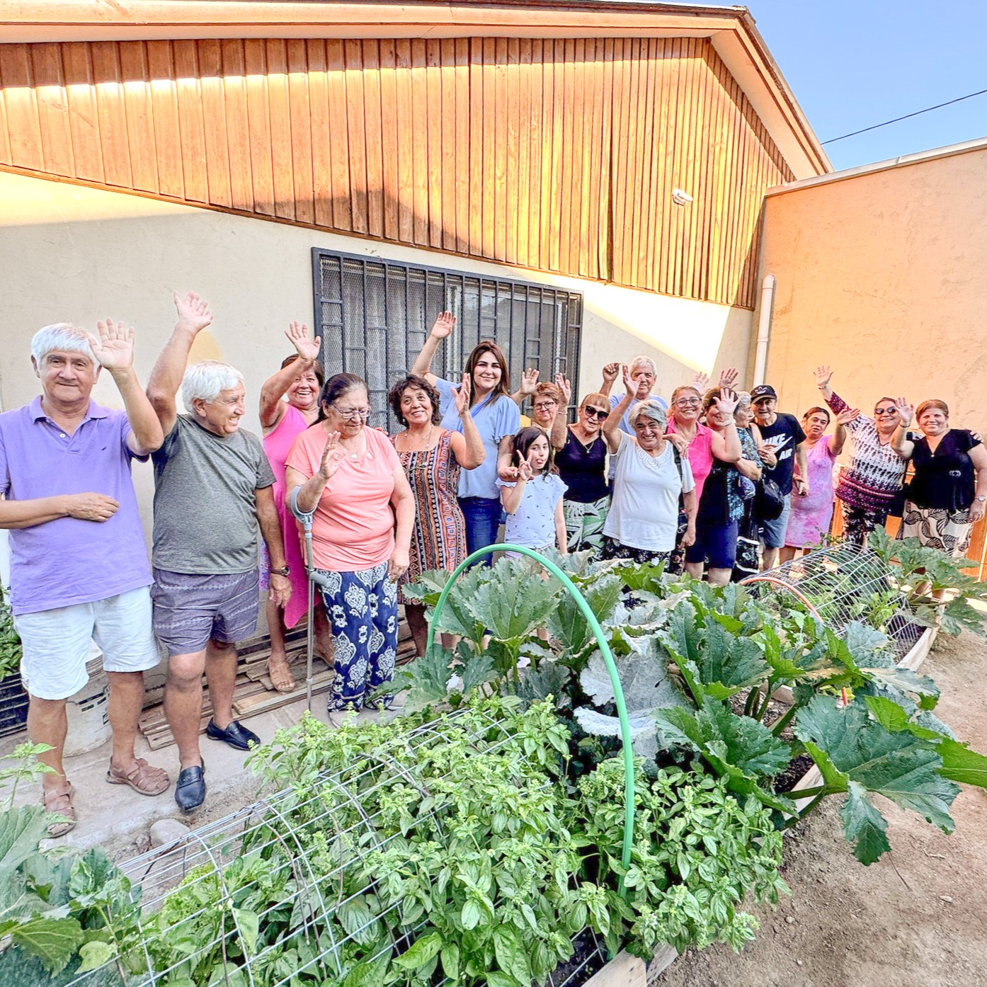 ⭐Una gran iniciativa ha desarrollado la Municipalidad de Peñaflor (Chile) con el desarrollo del Huerto Urbano de Las Praderas II, que permite que las vecinas y vecinos del sector puedan producir y cosechar alimentos como choclos, zapallos, tomates, lechugas, ajíes y albahacas, entre otras hortalizas. 🌽🍅🥬🌶
Felicitamos a esta comuna por su importante contribución al cuidado del planeta y a la seguridad alimentaria🌍💖