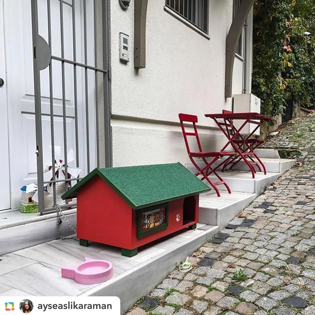 Bunları geç de olsa görmek ne kadar mutlu ediyor bizi! 😻♥️🙏🏻🐾🐾🐾😌🎈#GPRepost,#reposter,#notetag @ayseaslikaraman via @RepostApp ======> @ayseaslikaraman:Kis icin disardakileri 🐱lerinde evi hazir ❣️🏠🏰🎀 #goodvibes #morning #cat#kitten#podo#cathouse#cold#smallhouse#house#bjj#jiujitsu#yoga#yogaeverydamnday #red#kandilli#evimizhazir