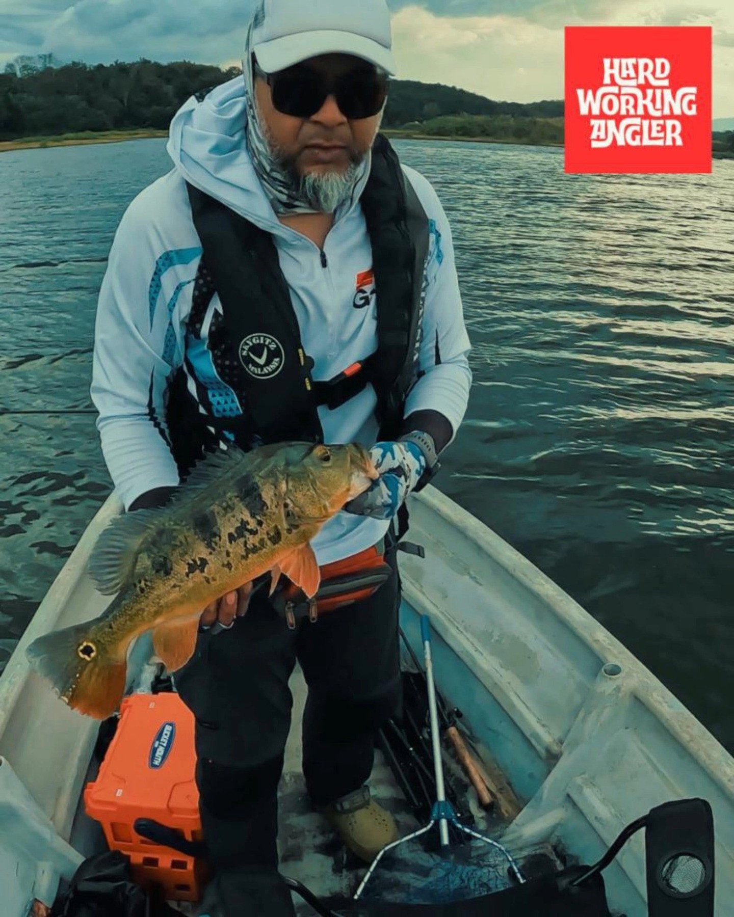 Another 50up peacock bass on our recent trip to Lenggong, Perak. Contact us for enquiries on our fresh water fishing trip in Malaysia. #peacockbassfishingguidemalaysia #hardworkingangler #fishing #visitmalaysia #peacockbass