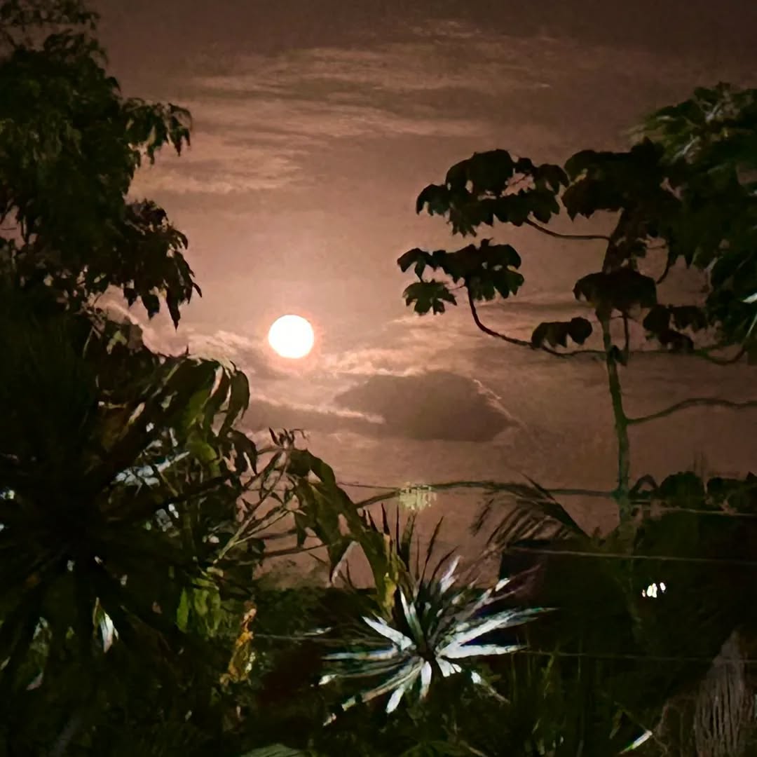 As noites de LUA CHEIA na Aldeia dos Anjos do Rosa é magia pura.
Reservas para o alto verão, entre em contato pelo WhatsApp
(48)99949 1971
Nossas unidades
www aldeiadosanjosdorosa.com.br
#imbituba #aldeiadosanjosdorosa
#pousadadorosa #praiadorosa #argentina