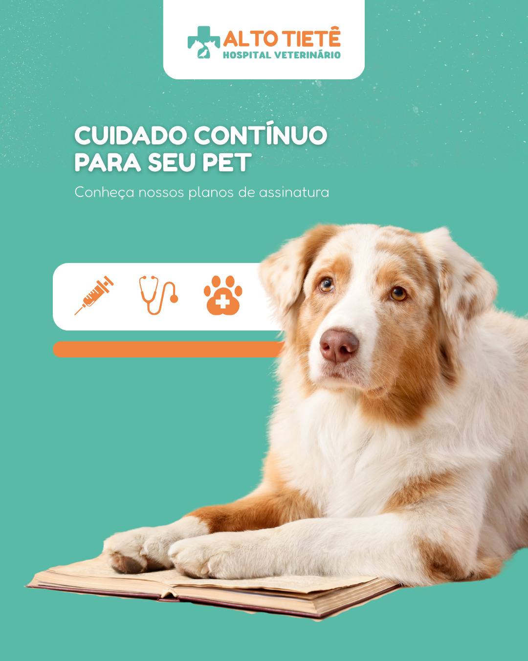 Cuidar da saúde do seu pet fica muito mais fácil com um acompanhamento contínuo.
Pensando nisso, o Hospital Veterinário Alto Tietê desenvolveu planos de assinatura anual voltados para o bem-estar dos animais e a tranquilidade dos tutores.
São três opções de plano: Básico, Essencial e Premium, criadas para diferentes perfis e necessidades.
Você garante:
✔️ Prevenção
✔️ Organização dos cuidados
✔️ Qualidade assistencial
Faça parte da nossa comunidade e ofereça ao seu pet um cuidado constante, planejado e com toda a estrutura do nosso hospital.
📌Para saber mais, fale com a nossa equipe!
📲11 94117 0339
#planosdeveterinária #hospitalveterinario #cuidadocontinuo #assinaturapet #saúdedopet #atendimentoveterinario #aruja