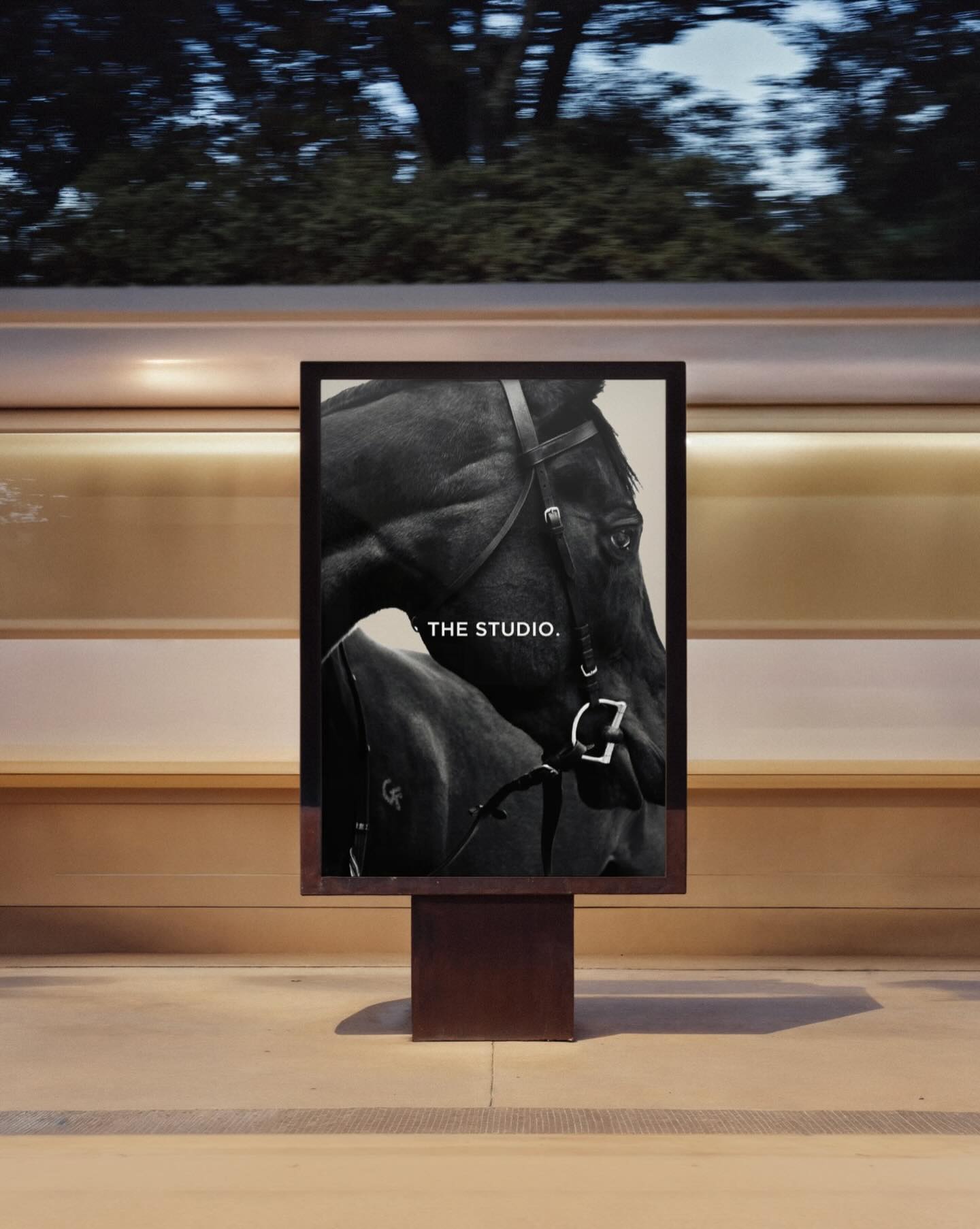 The Year of the Horse favours momentum.
Consider this your sign to build a brand that keeps pace with your ambition.
#melbournedesign
#brandstrategy
#smallbusinessbranding
#brandelevation
#investinyourbrand