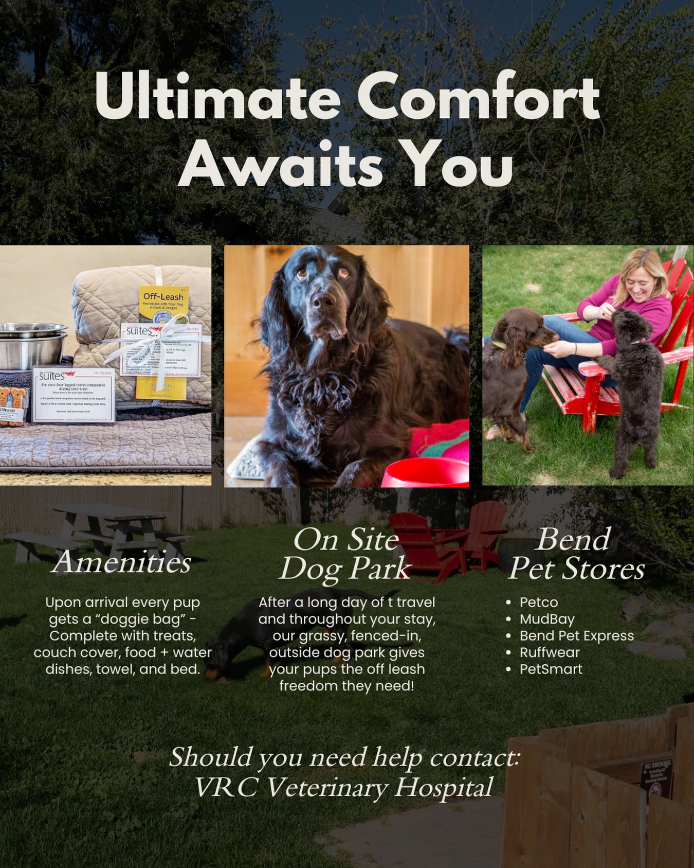 🐾❤️ At Wall Street Suites in downtown Bend, pets are part of the stay. Your pup will be welcomed with a doggie bag of treats, couch cover, food and water dishes, towel, and their own bed—plus an on-site dog park for safe, off-leash freedom. Because every guest deserves to feel at home.