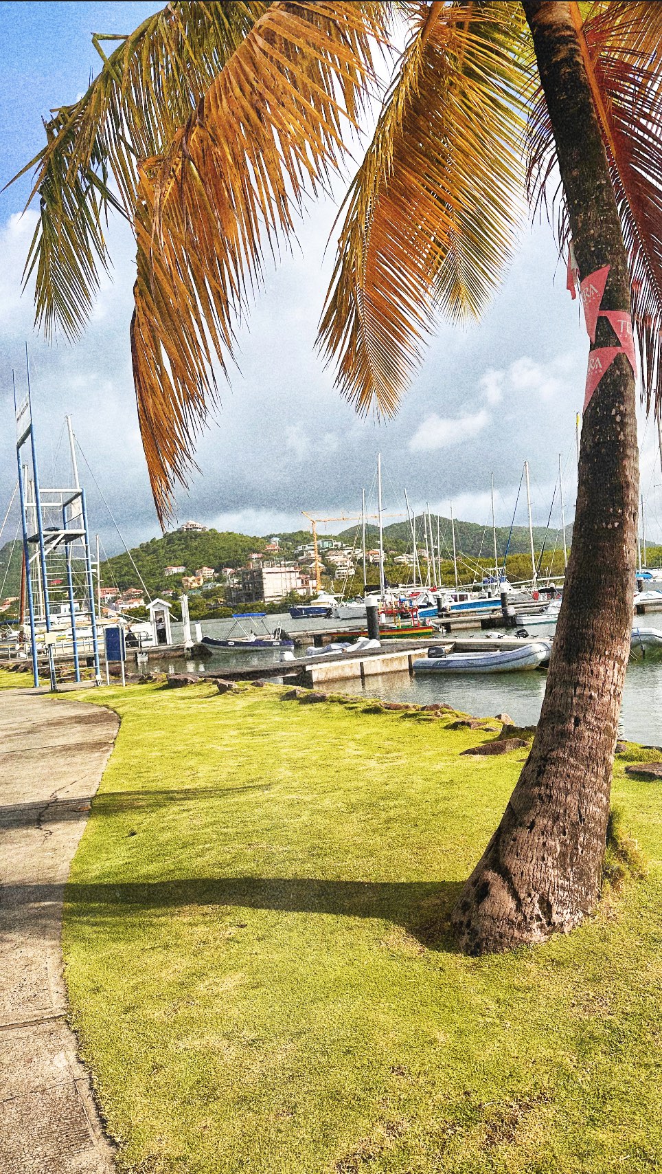 Forever rooted. 🇱🇨
Happy Independence Day, St.Lucia.
#stluciaindependence #lucianpride #caribbeanroots #stluciawelove #stlucia