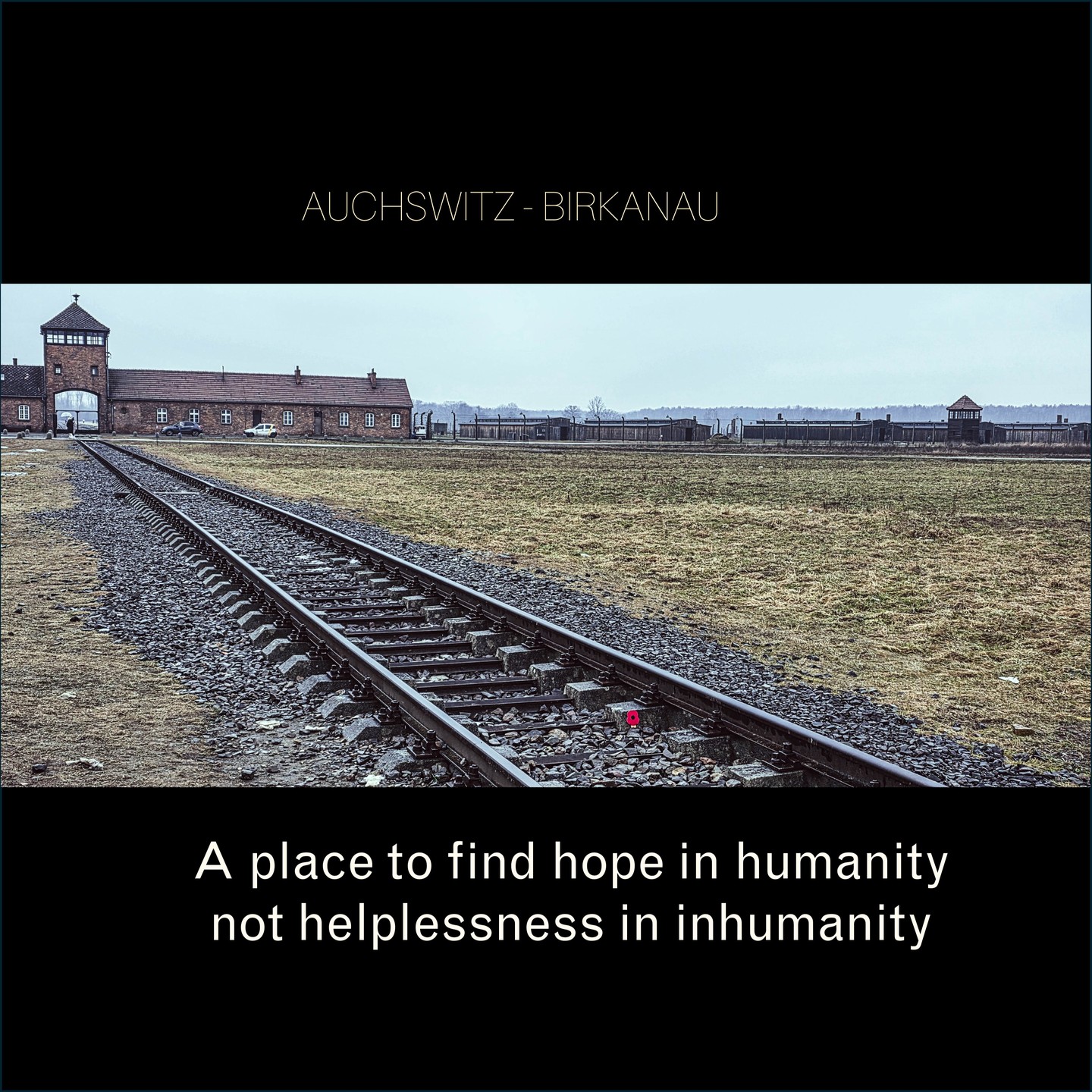 Auschswitz - A place to find HOPE in HUMANITY
#hopeinhumanity #auschwitz
#humanityalwyaswins