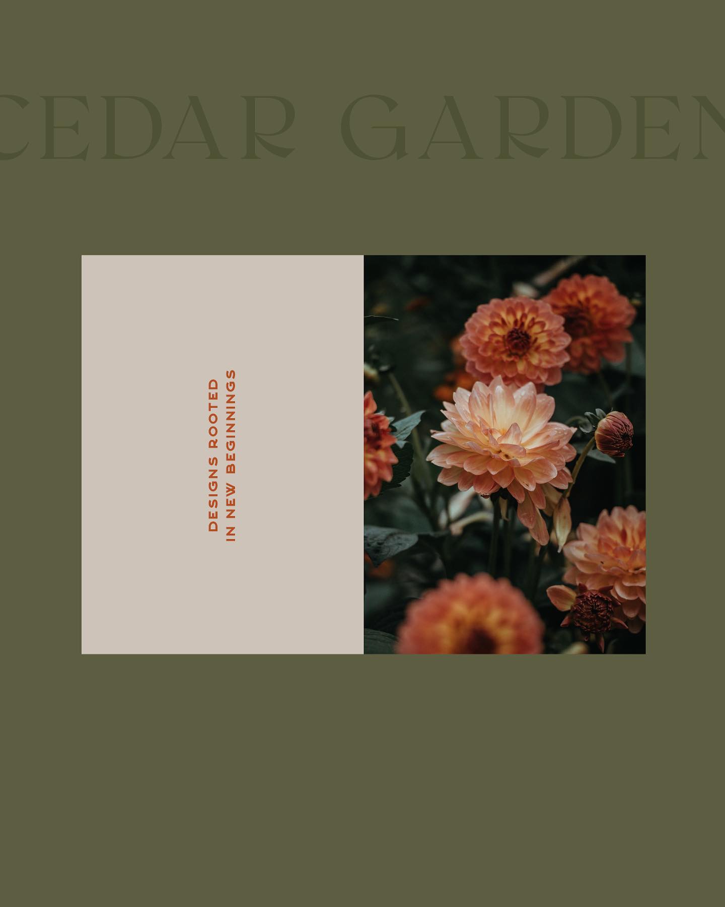 Another day, another gem to share from one of my favorite branding projects!
If youāre a past client of mine, your branding is guaranteed to show up consistently on my feed..I donāt make the rules.