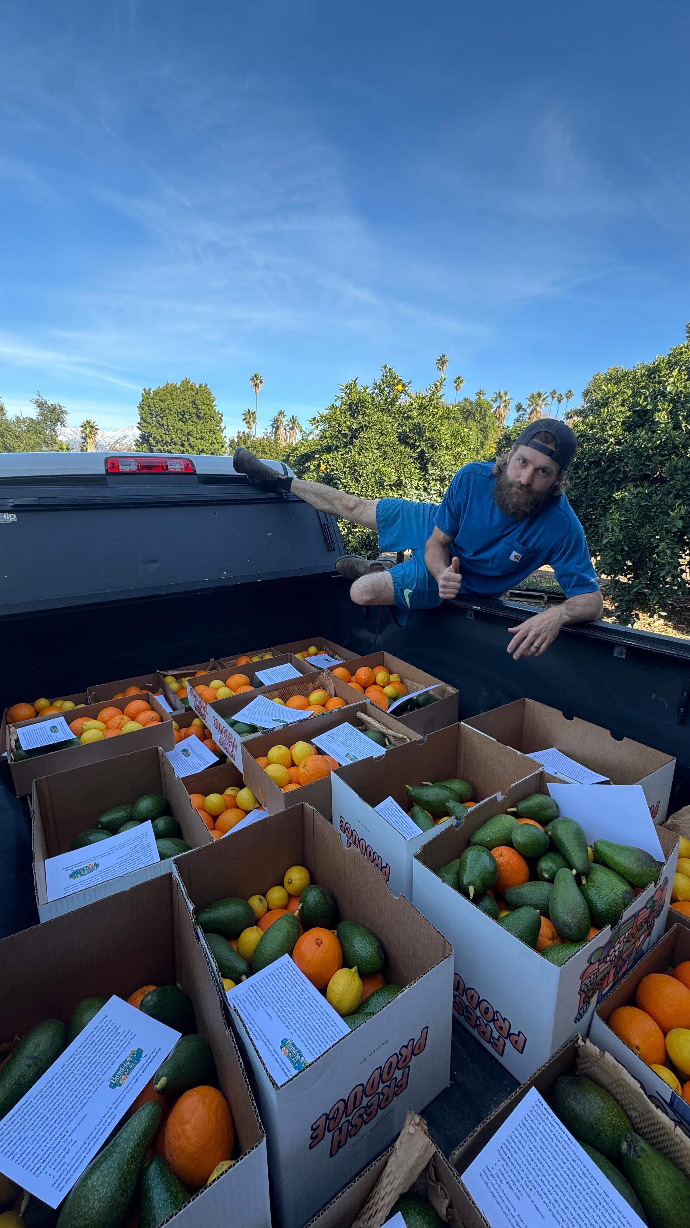Working hard to get those boxes ready for our CSA members! Thanks @rubyhaunt for the inspiration. 🙏🥑🍊