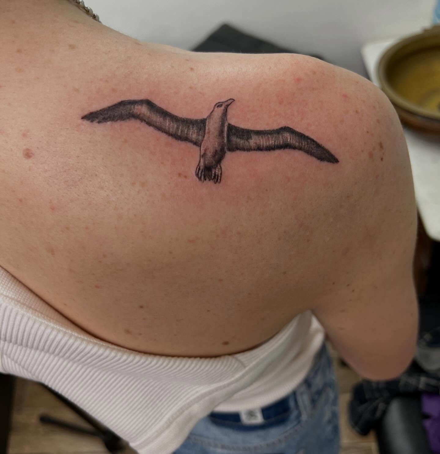 Super cool Albatross for the win today… thanks for looking #tattoo #tattoos #albatross #blackandgreytattoos