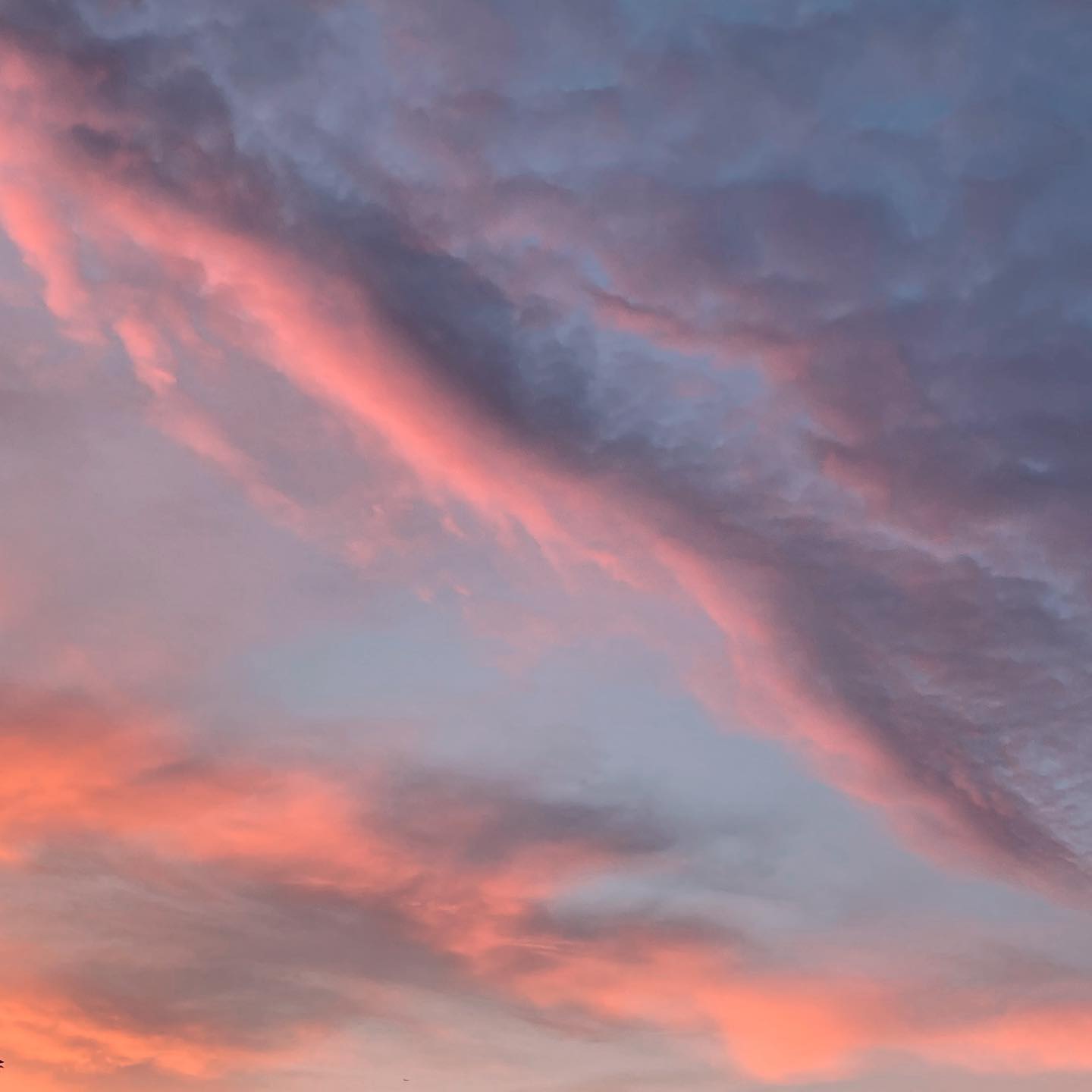 Have you ever seen two clouds exactly the same? Celebrate the differences. They make this world so beautiful and interesting.
#differences #differencesarebeautiful #celebratethedifferences #clouds #cloudstagram #nubes #skyphotography #sky #instaclouds #cloudlovers