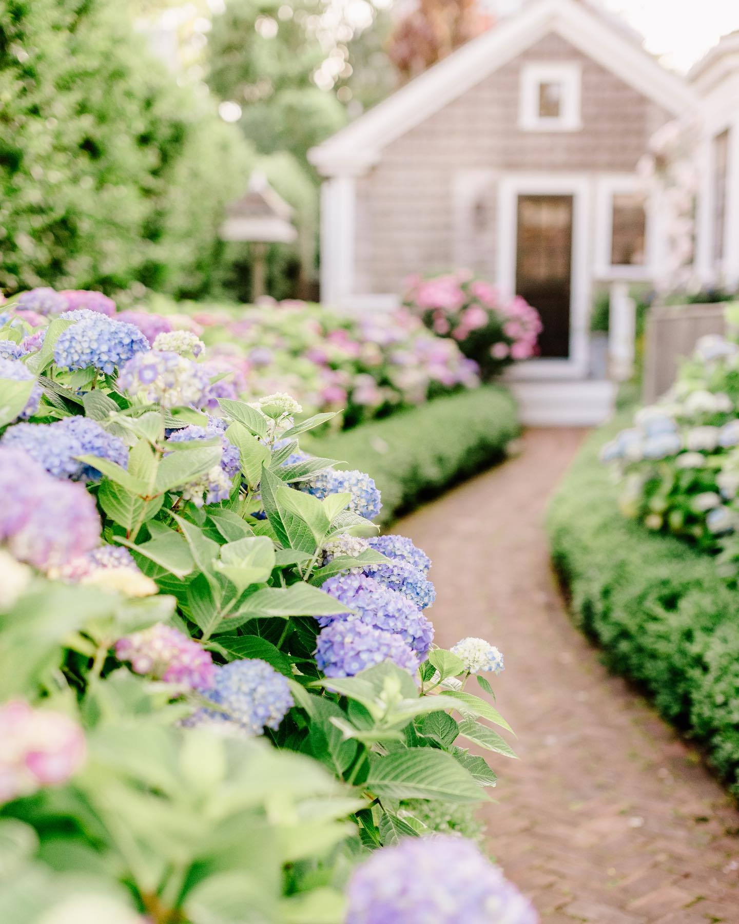 Happy summer, friends! ☀️
Just over here day dreaming that this is our fairytale garden. ✨