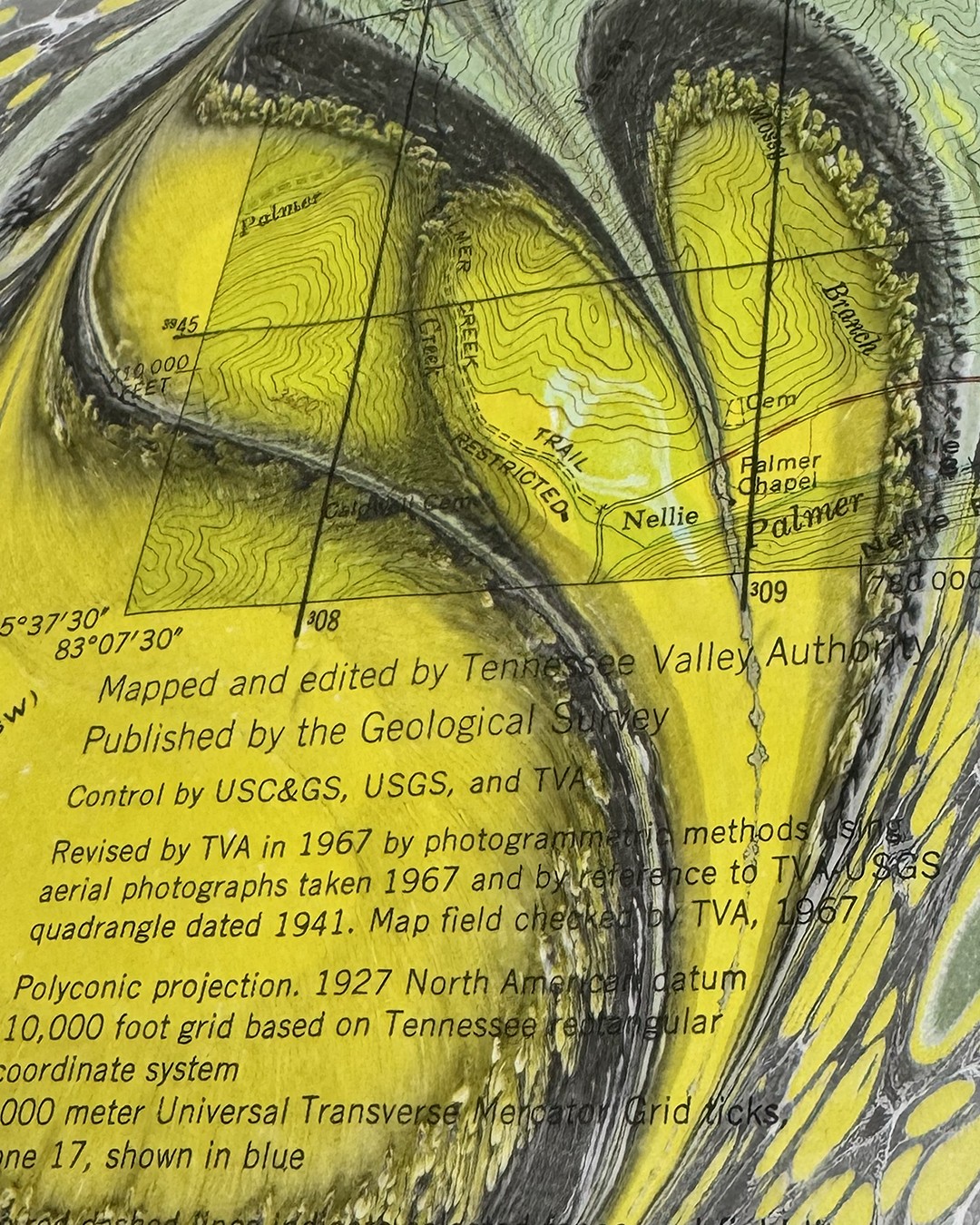 My family and I have hiked this area of Pisgah National Forest many times, especially when we first moved here with Ashby. Cove Creek and Caney Bottom Creek form drainage basins below Lanning Ridge and Seniard Ridge, respectively. These creeks and their tributaries join together and become part of the Davidson River, whose downhill journey takes it to the French Broad River and eventually the mighty Mississippi.
So, early on in the trail, rocks in the many small tributary streams held finds of salamanders and caddis fly larvae – perfect for young kids to explore. Reaching the Cove Creek Waterfall, a fifty-foot beauty, was an easy hike for our young family. A group campground (Cove Creek Campground) is located nearby.