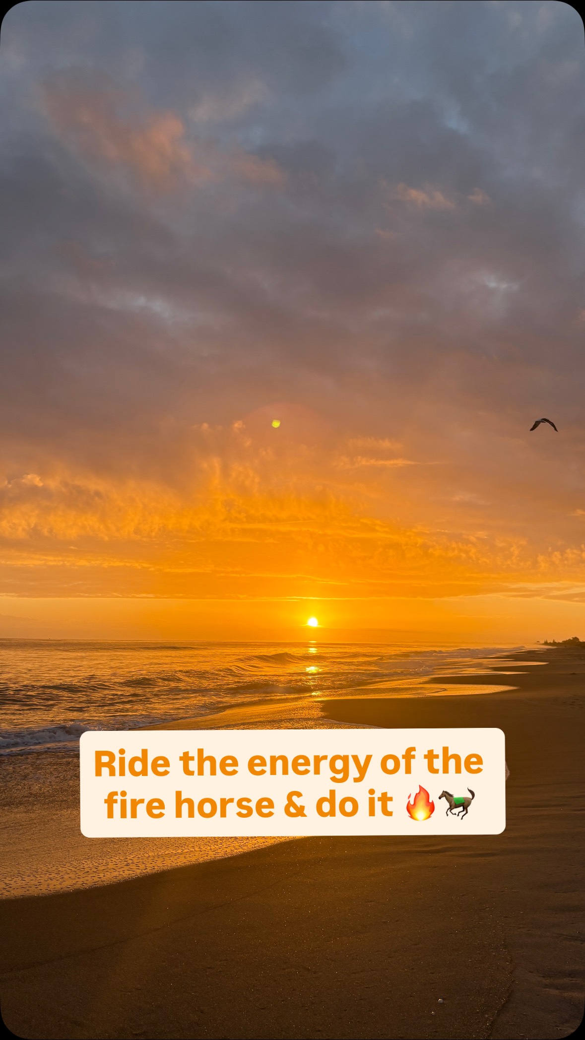 Ride the energy of the fire horse and just freaking do it ✌🏼🔥🐎
What are you ready to birth?
To unleash?
To step into?
What are you no longer putting up with?
What are you saying HELL YES to & HELL NO to?
Back yourself! Trust yourself. Believe in yourself.
Walk your talk and just do it.
Your pace, your journey, your way 🔥🔥🔥
#justdoit #firehorse #forwardmomentum #trustyourself #backyourself