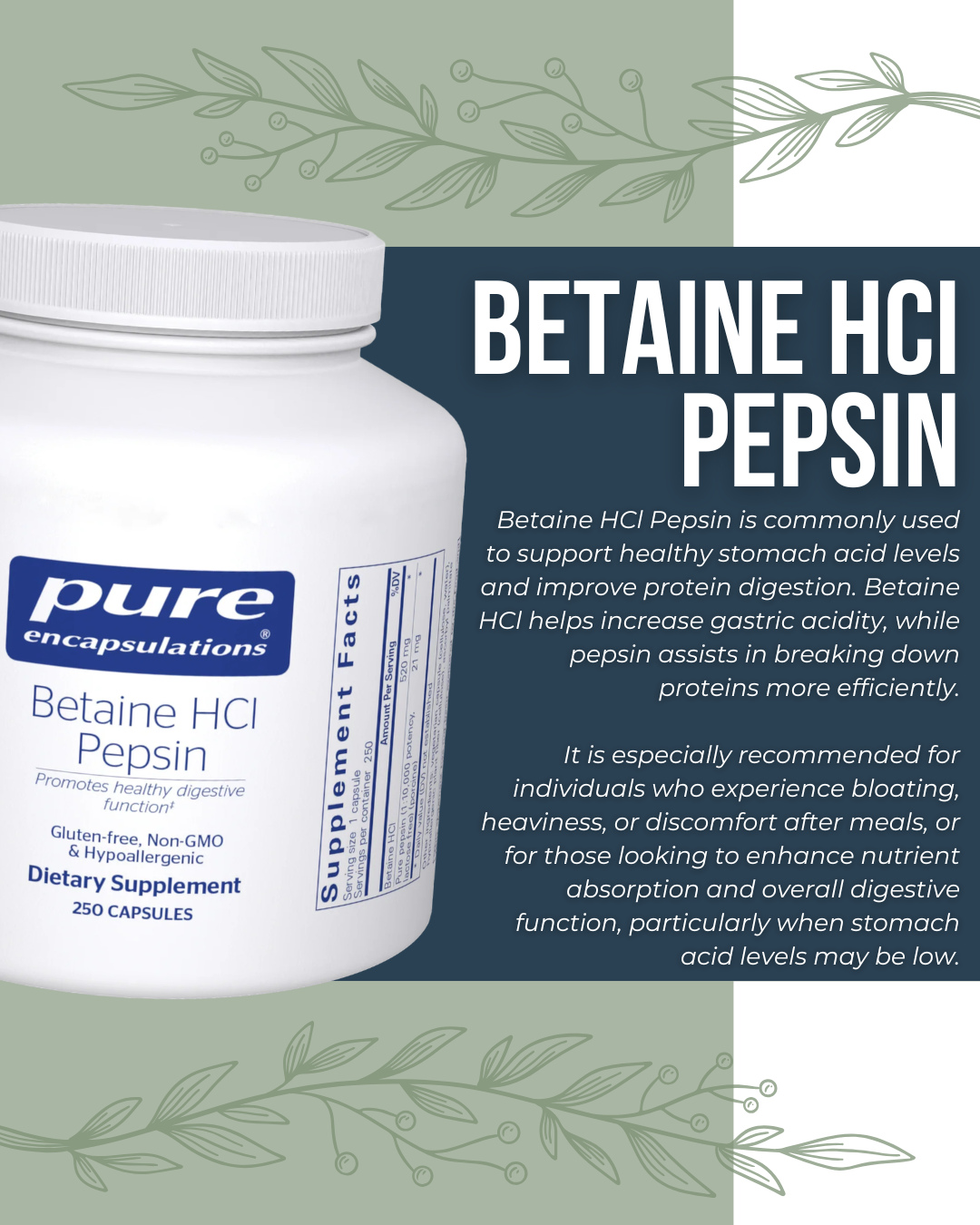 🚨 NEW Supplement Alert! 🚨
Are you experiencing bloating, heaviness, or discomfort after meals? 🍽️😓
Betaine HCI Pepsin might be the supplement for you! ✅
DISCLAIMER: This products are not endorsed by the Chiropractors' Association of Saskatchewan.