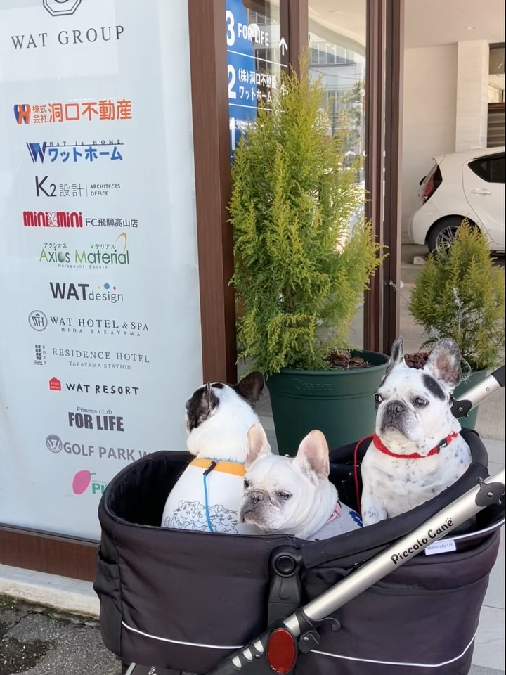 ミニミニ飛騨高山店✨
3月末までのご入居可物件、まだまだご紹介できます!
