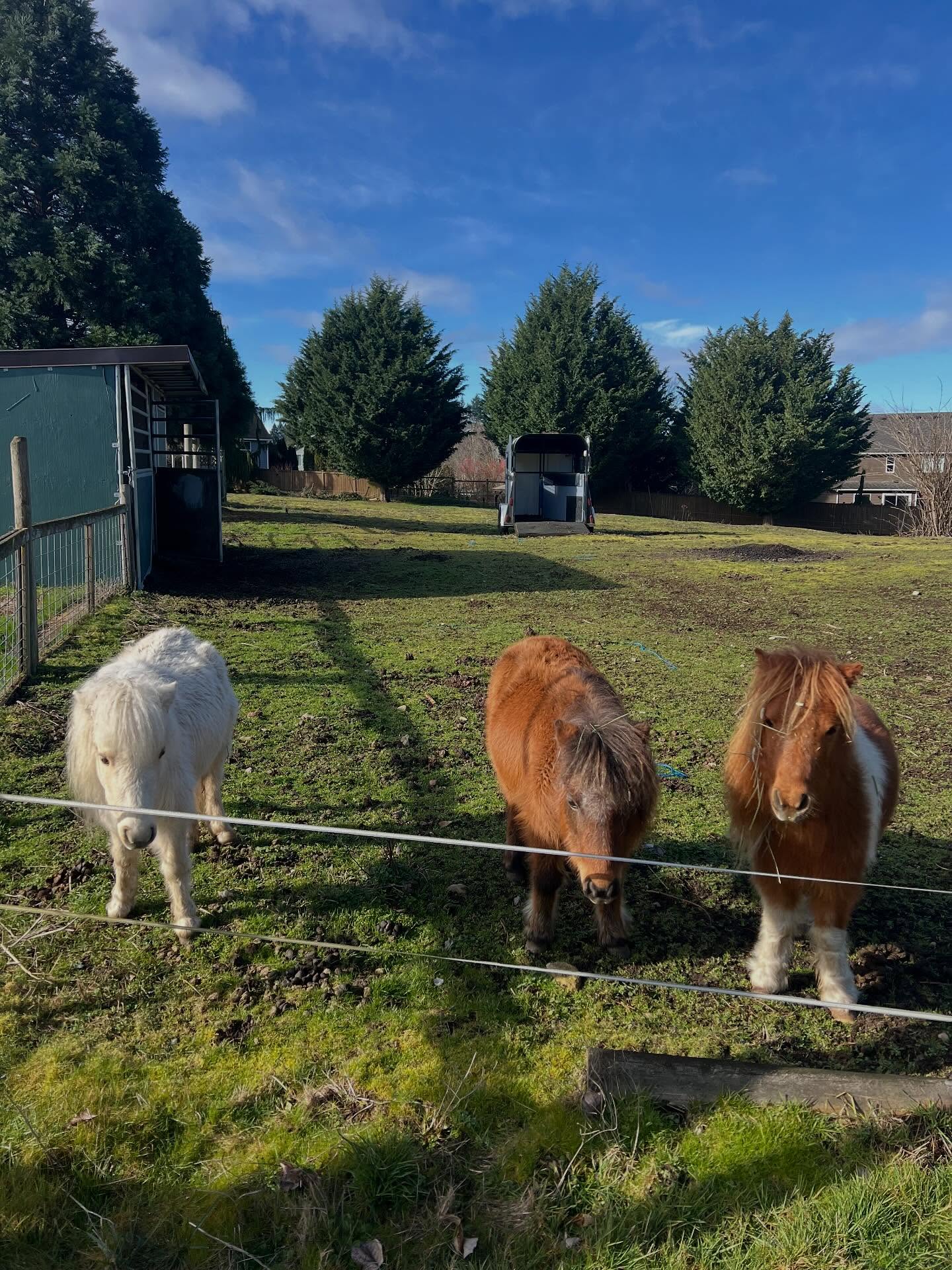 We love our “neigh”board 🐴