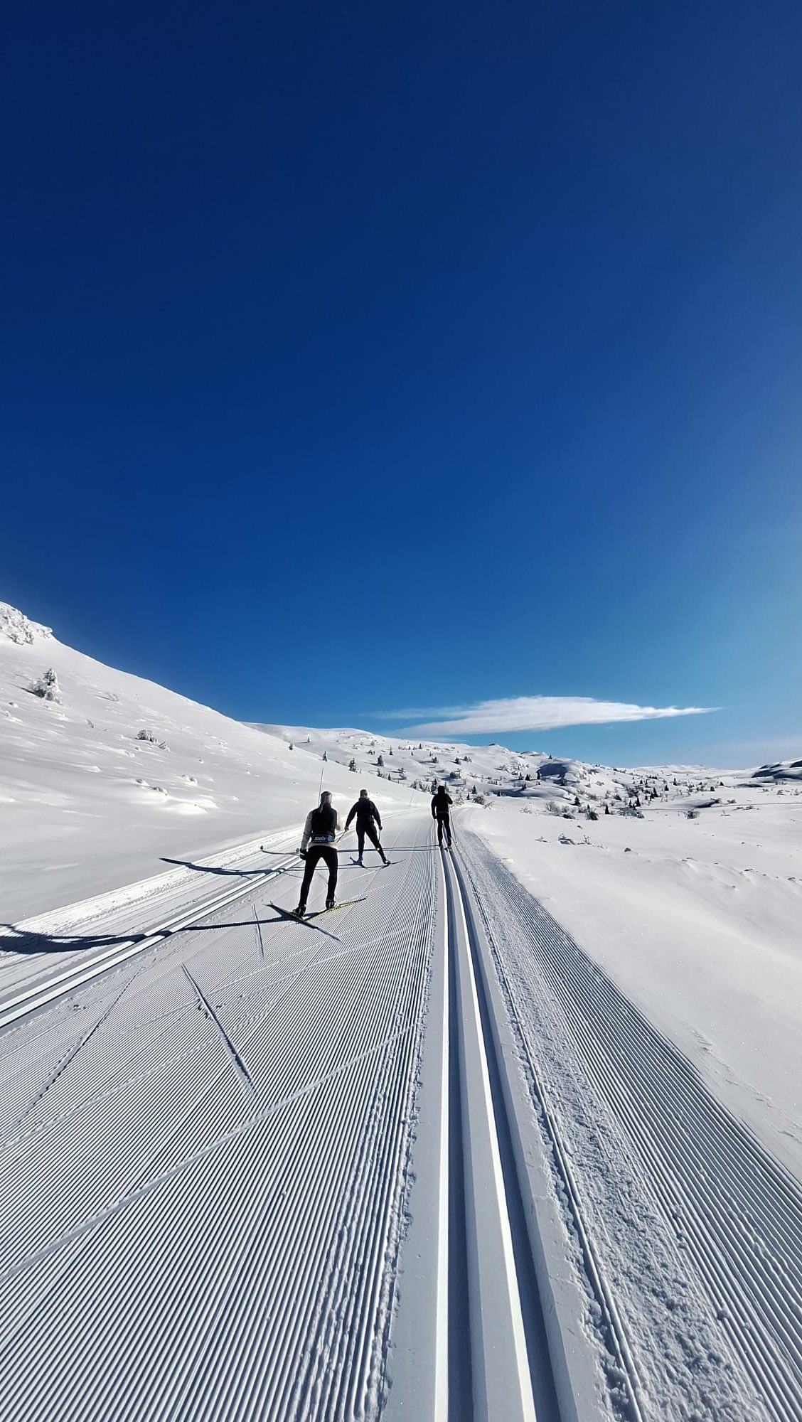 Kansallinen hiihtopäivä.✨ Kiitos hiihtolomaseurasta jälleen @anmalank @hannaleena_87 @kasabird ja @kimmoaatos 🧡
Hiihdetty on!🧡
#vendalen #skeikampen #skiingholiday