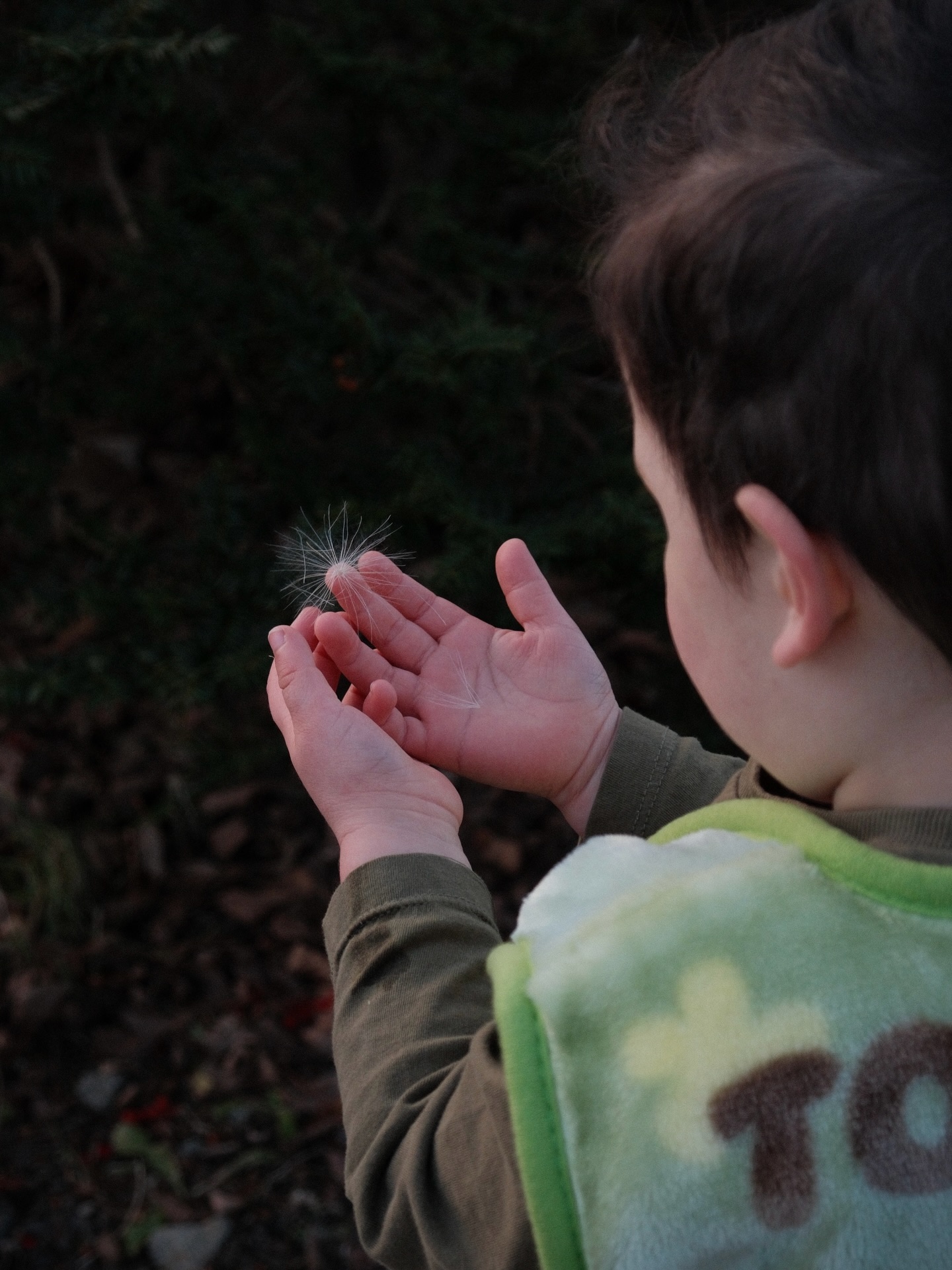 hi japan. imy 🥲
#sapporo #hokkaido #japan #totoro #studioghibli