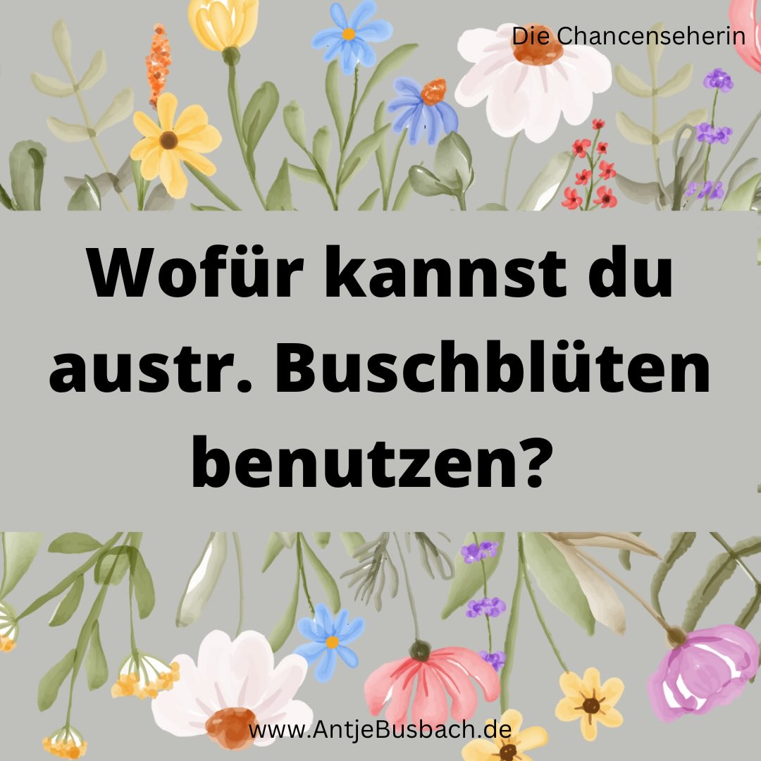 Australische Buschblüten helfen dir, alte Muster zu lösen. Und neue Wege mutig zu gehen.
Du bist die wichtigste Person in deinem Leben.
Manchmal reicht ein einziger echter Moment – und du erinnerst dich wieder, wer du bist.
Deine Lebensqualität verbessert sich. Du wirst lebendig!
Herz über Kopf wieder leben. Direkthilfe in Krisenzeiten.
https://kurzlinks.de/wo23
Ich zeige dir wie du wieder in dein Strahlen kommst, trotz eines stressigen Alltags. Du lernst, wie du Krisen spielend meisterst, in dem ich dir meinen stärkenden Werkzeugkasten für Zuversicht und Lebensfreude an die Hand gebe, damit du ein rundum erfülltes Leben genießt.
* Der Beitrag war ein Augenöffner? Teile ihn doch in deiner Story und mit deiner Community!
* Speicher dir den Post ab, damit du immer wieder drauf zurückgreifen kannst.
* Der Beitrag gefällt dir? Dann gib mir gerne ein Like.
* Markiere die Person, die diesen Beitrag nicht verpassen darf!
Feel Freude und fühl Vergnügen
Antje Busbach - die Chancenseherin
#chancenseherin #AntjeBusbach #frauenimstress