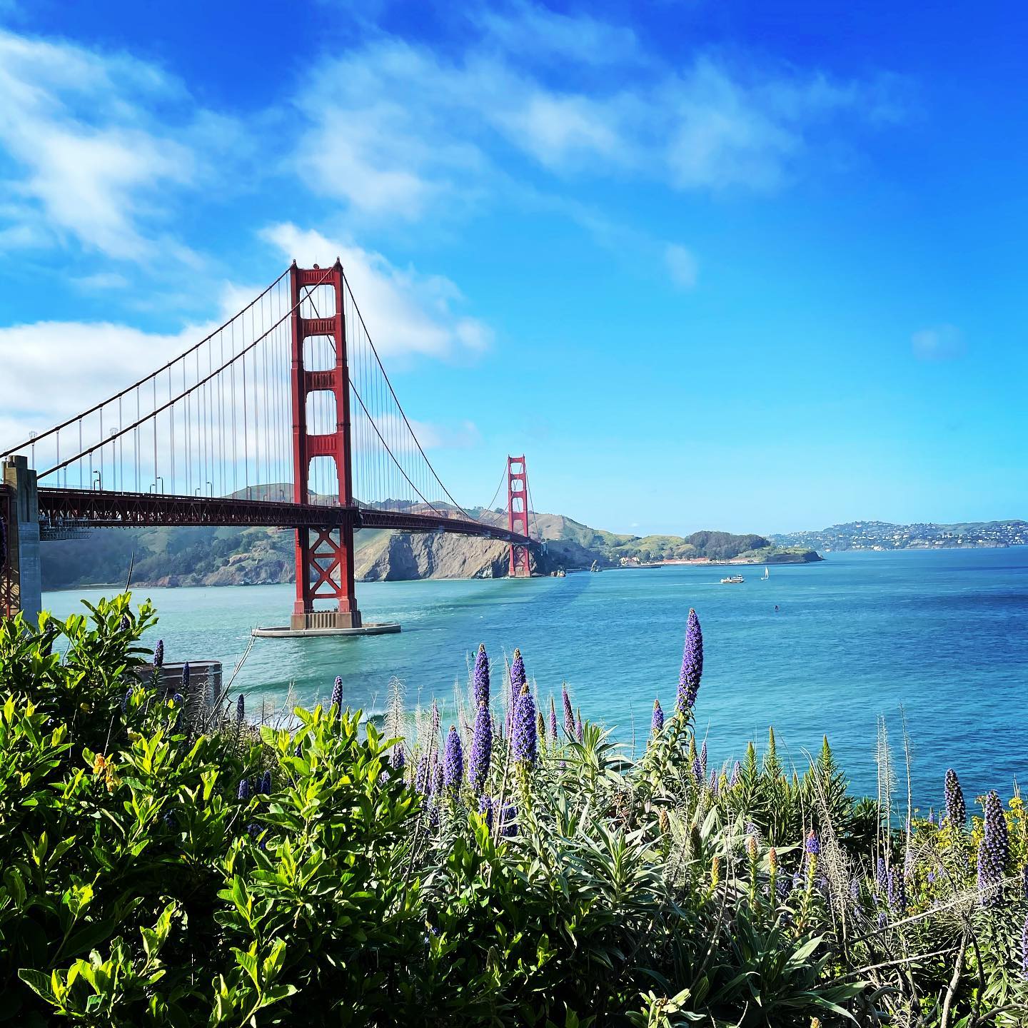 Signed, sealed, delivered, l’M YOURS SAN FRANCISCO!
After starting the Adler Fellowship @sfopera in 2020, the world has calmed down enough for me to finally make the move into the city.
Any tips or favorite haunts I should check out? I’m all 👂🏻