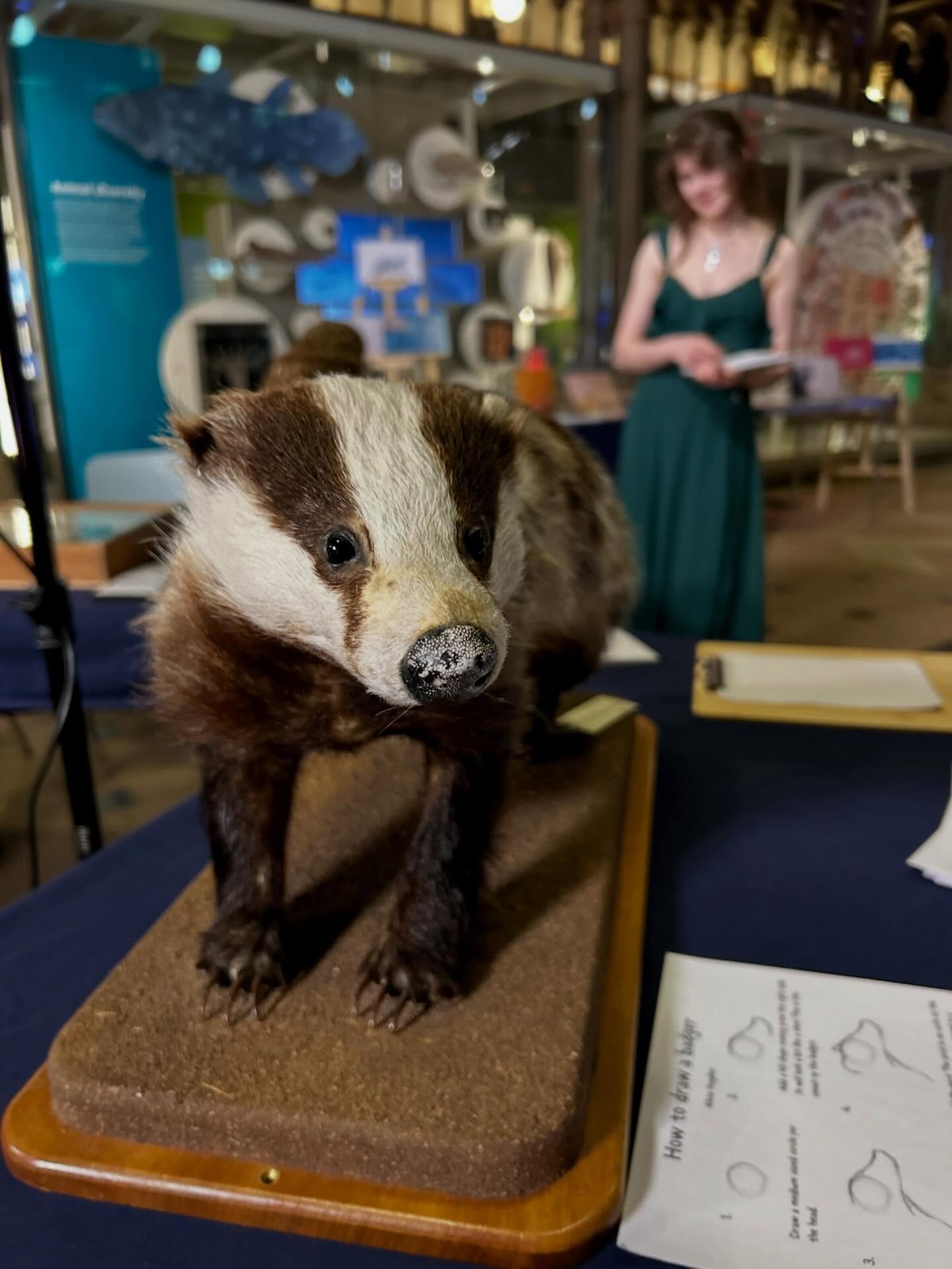 Oxford is an exceptionally special place to me, and it’s truly a pleasure getting to teach there sometimes!!
Snaps from today’s full-day workshop exploring sciart and scientific storytelling with @oxford_uni Schmidt fellowship ✨
And some photos from last year’s @biologyoxford @oxbiologyball - as next week I’ll be back again with my doodles & doodling supplies to help you learn how to draw some creatures from the ocean 🌊 courtesy of @morethanadodo’s beautiful specimen collection 🐚
.
🎨 Art materials are @dalerrowney1783 watercolours & brushes, @lyra_feelcreative pencils, and @cansonpaper
.
.
.
#art #artist #oxford #wildlifeart #wildlife