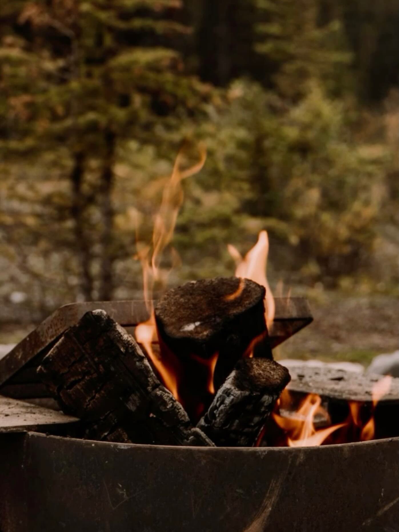 Your privacy is my responsibility, and in a small town like Vernon, I take that very seriously.
I understand how vulnerable it feels to open up and how powerful it can be to finally say things out loud.
You deserve a space where you can speak freely without wondering who might find out. You’ll never have to wonder here.
Scout’s honour.