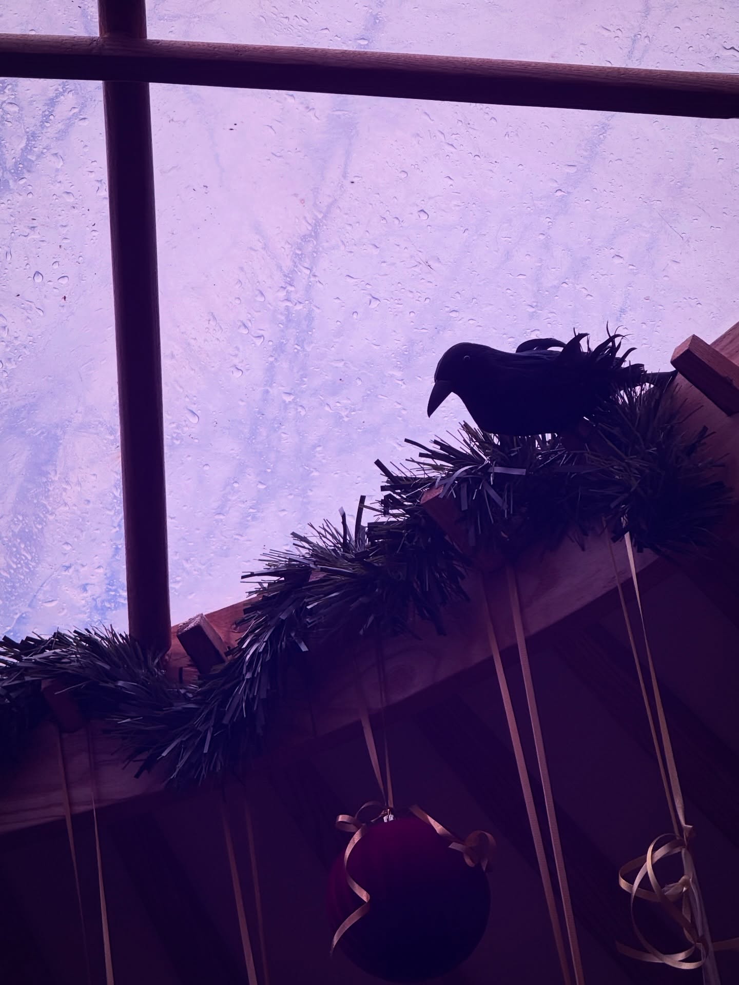 Meet Vince. He’s travelled all the way from Glastonbury to watch over you when you’re next in the Yurt 🐦⬛ bringing his suprior supervisory duties.
✨❤️ Crow energy is often linked with awareness, intelligence, and transitions ; a rather fitting companion for a space devoted to slowing down and noticing #crow #crowmagic