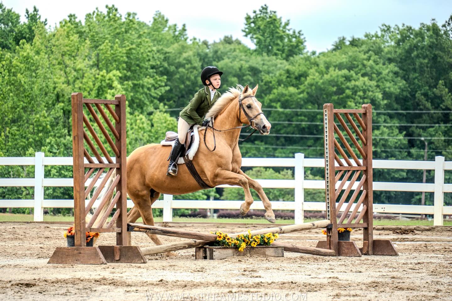 This weekend I will be photographing Horse Show Ventures & Circle of Friends Dog Agility. Looking forward to seeing you all there!
📣 Please message me at +1 (678) 815-5481 to schedule horse show photo coverage, as I will not be available to provide ‘at random’ ringside photos without a prior booking.
To view my portfolio or reserve your session, please visit www.maneframestudio.com and select the Show Booking tab. I look forward to helping you preserve your show memories.