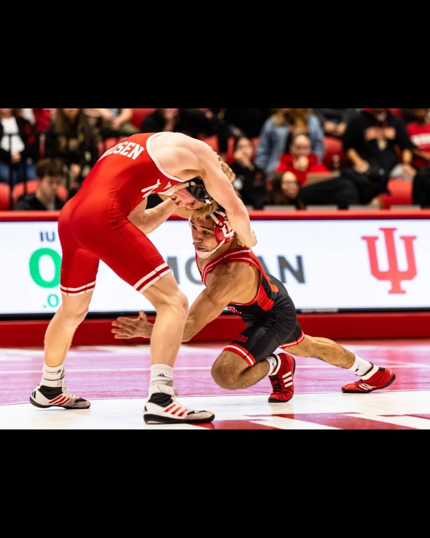 Sunday February 15th - The No.5 ranked Nebraska Cornhuskers came into Wilkinson Hall in Bloomington Indiana to face off against the No. 20 ranked Indiana Hoosiers. Nebraska defeated Indiana 34 to 5.
@indianawr
#indianawrestling #d1wrestling #wrestlingphotography #wrestling