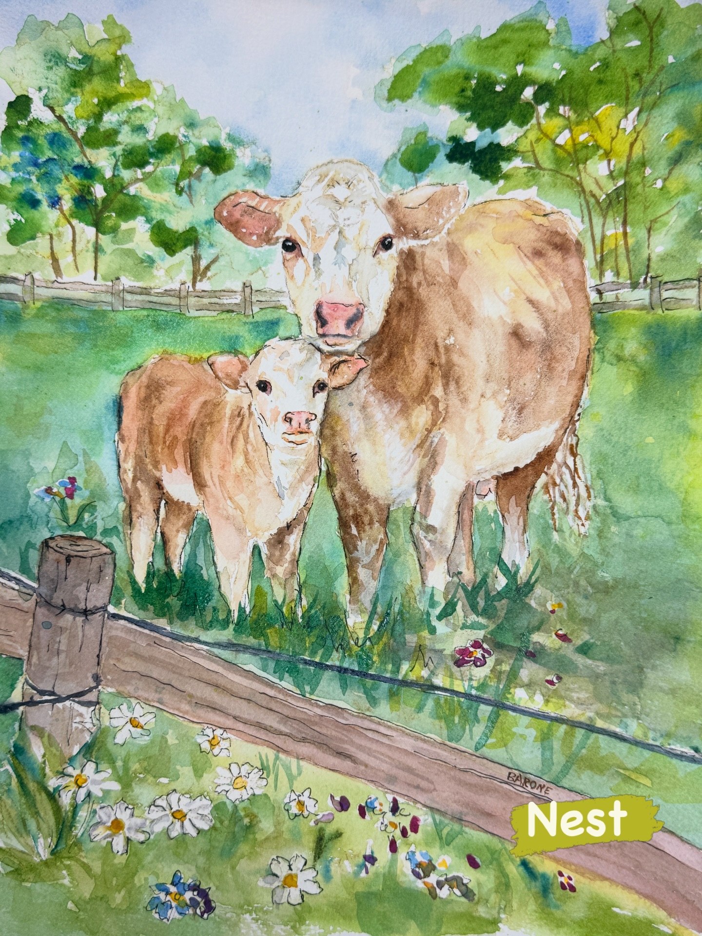 Opus Daily Practice - a commission piece that’s perfect for today’s prompt NEST - a momma and her baby.
.
.
.
#opusdailypractice
#cowpaintings
#vancityart
#opusartsupplies
#watercolourartist
