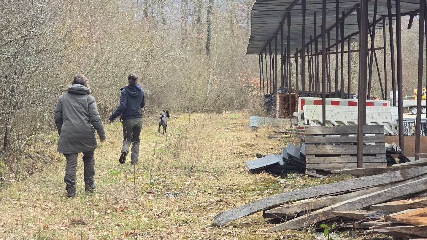 ✨📚 Se former pour mieux vous accompagner 📚✨
Parce que chaque chien est unique 🐶
Parce que chaque binôme mérite le meilleur 💛
Parce que le monde canin évolue… et moi aussi 🚀
Je continue à me former pour vous proposer :
✔️ Des outils toujours plus précis
✔️ Des approches respectueuses et bienveillantes 🌿
✔️ Des méthodes adaptées à VOTRE chien 🐾
Que ce soit en éducation, en flair ou dans l’accompagnement des chiens sensibles et réactifs, je tiens à rester à jour pour vous offrir un suivi de qualité ✨
Merci pour votre confiance 🤍
#formationcontinue #educationcanine #educateurcanin #flaircanin #mantrailing nosework chienreactif bienveillance apprentissage passioncanine 🐕