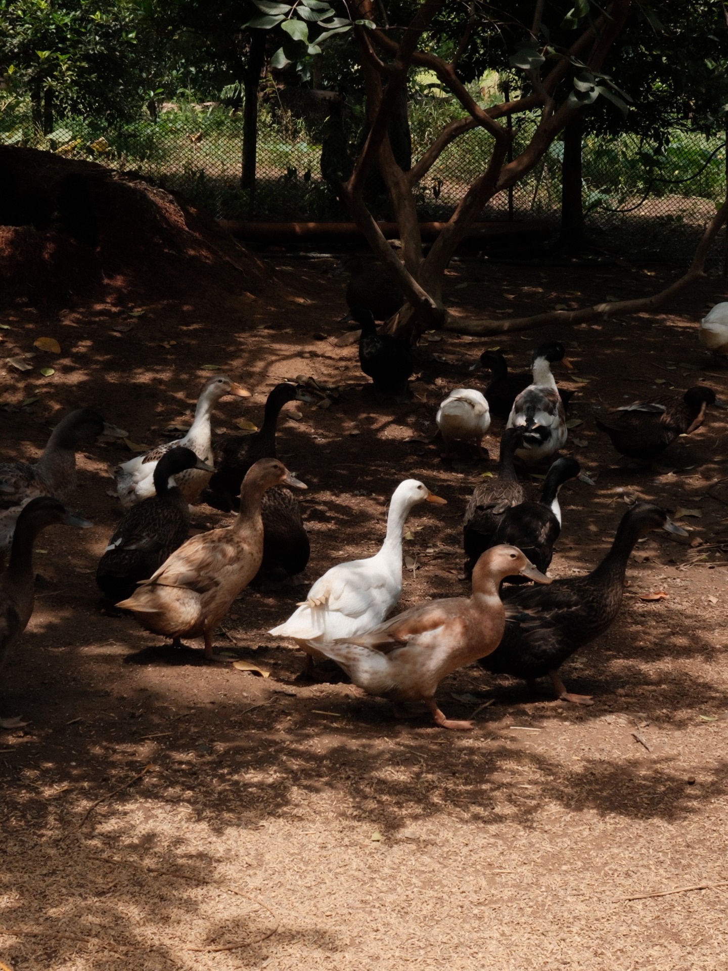 a few photos from last year’s adventures. can’t wait to be home. 🌾