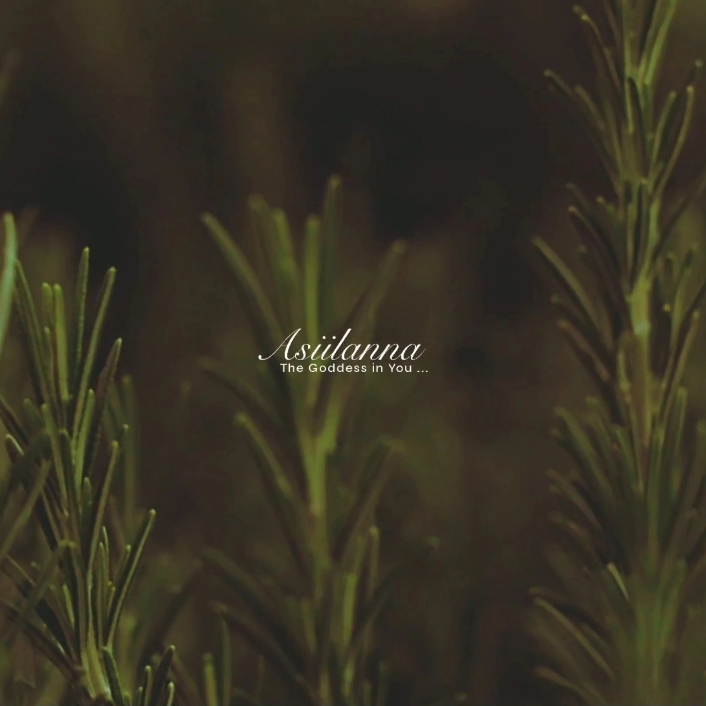 EMBRACE YOUR NATURAL BEAUTY!