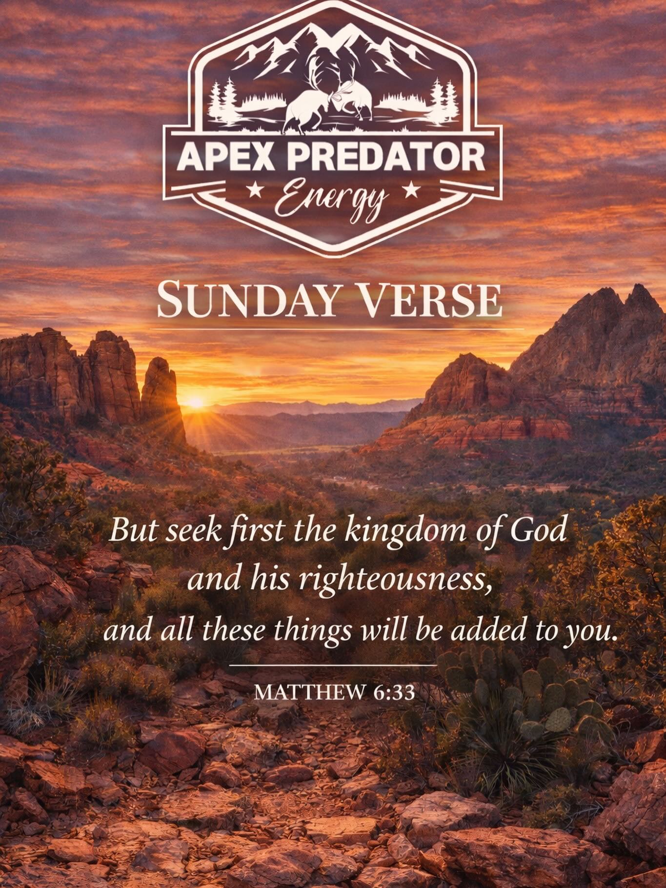 Priorities determine direction.
Direction determines outcome.
Seek Him first. Everything else follows.
Matthew 6:33
#SundayVerse #ApexPredatorEnergy