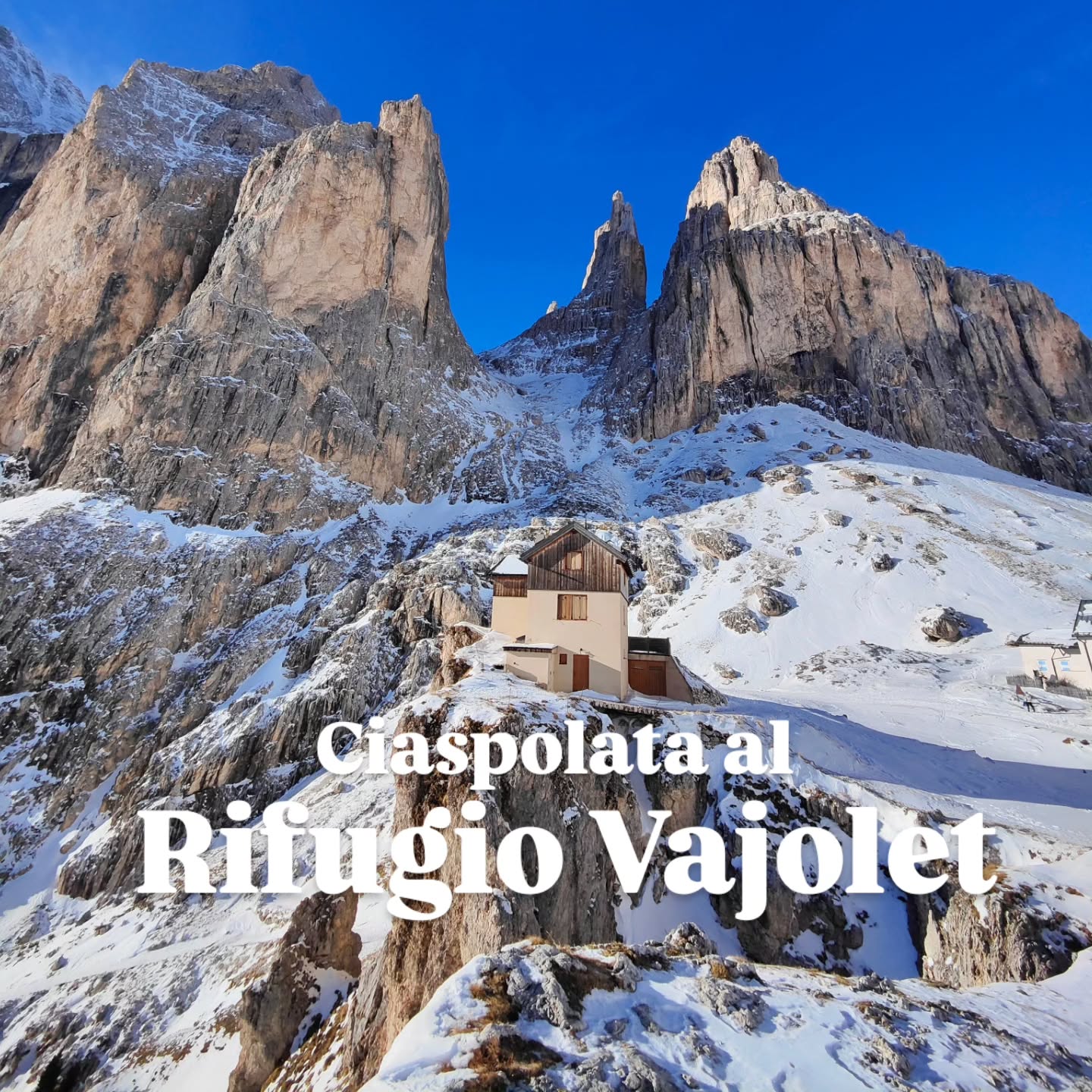 CIASPOLATA AL RIFUGIO VAJOLET - le escursioni del sabato 🏔️
Una delle ciaspolate più famose della Valle di Fassa, meravigliosa, facile, adattabile in base all'allenamento. La vista sul Catinaccio e le cime circostanti è grandiosa, dall'inizio alla fine. I brevi tratti nel bosco non nascondono le cime, anzi, i bellissimi cirmoli contorti danno al paesaggio ancora più fascino. Inoltre il sentiero è tutto al sole, cosa non trascurabile in questa stagione! Il rifugio Vajolet è chiuso, ma a metà strada si trova il @rifugio_gardeccia, aperto da dicembre ad aprile.
A metà tra Mazzin e Pozza di Fassa salite la strada per Muncion e proseguire fino al parcheggio alla fine della strada (c'è un divieto d'accesso, ma se leggete bene è valido solo d'estate). Qui inizia la strada forestale, battuta dal gatto delle nevi, che con salita dolce e costante porta al rifugio Gardeccia. Fin qui l'escursione è facile, adatta a tutti (si vedono molte famiglie che salgono a piedi e scendono col bob!) La seconda parte, specialmente verso la fine, è più a rischio valanghe, perciò valutate bene la percorribilità. Prendete il sentiero 546 dietro il rifugio che ora inizia a salire ripido. Ci si avvicina alle pareti del Catinaccio, circondati da bellissimi cirmoli antichi. Già si vede la meta, il rifugio Preuss, arroccato su una roccia. Un ultimo tratto dolce fa tirare il fiato prima degli ultimi tornanti, e le Torri del Vajolet svettano imponenti sopra di voi. Dietro al rifugio Preuss si trova il rifugio Vajolet, meta della giornata.
Con condizioni di neve molto stabili si può proseguire in direzione del rifugio passo Principe.
Il rientro è sullo stesso percorso.
Dislivello: 700 m
Lunghezza: 12,5 km
Tempo medio: 5 ore
DESCRIZIONE COMPLETA E TRACCIA GPX SUL MIO SITO (link in bio)
#valdifassa #catinaccio #rifugiovajolet #ciaspolate #Dolomiti