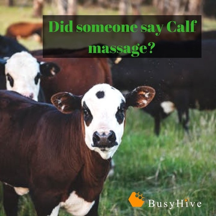 Sore from Spring yard work? Book a massage, there are a couple openings still available this week! - https://mailchi.mp/40c98c475c56/who-is-sore-from-yard-work