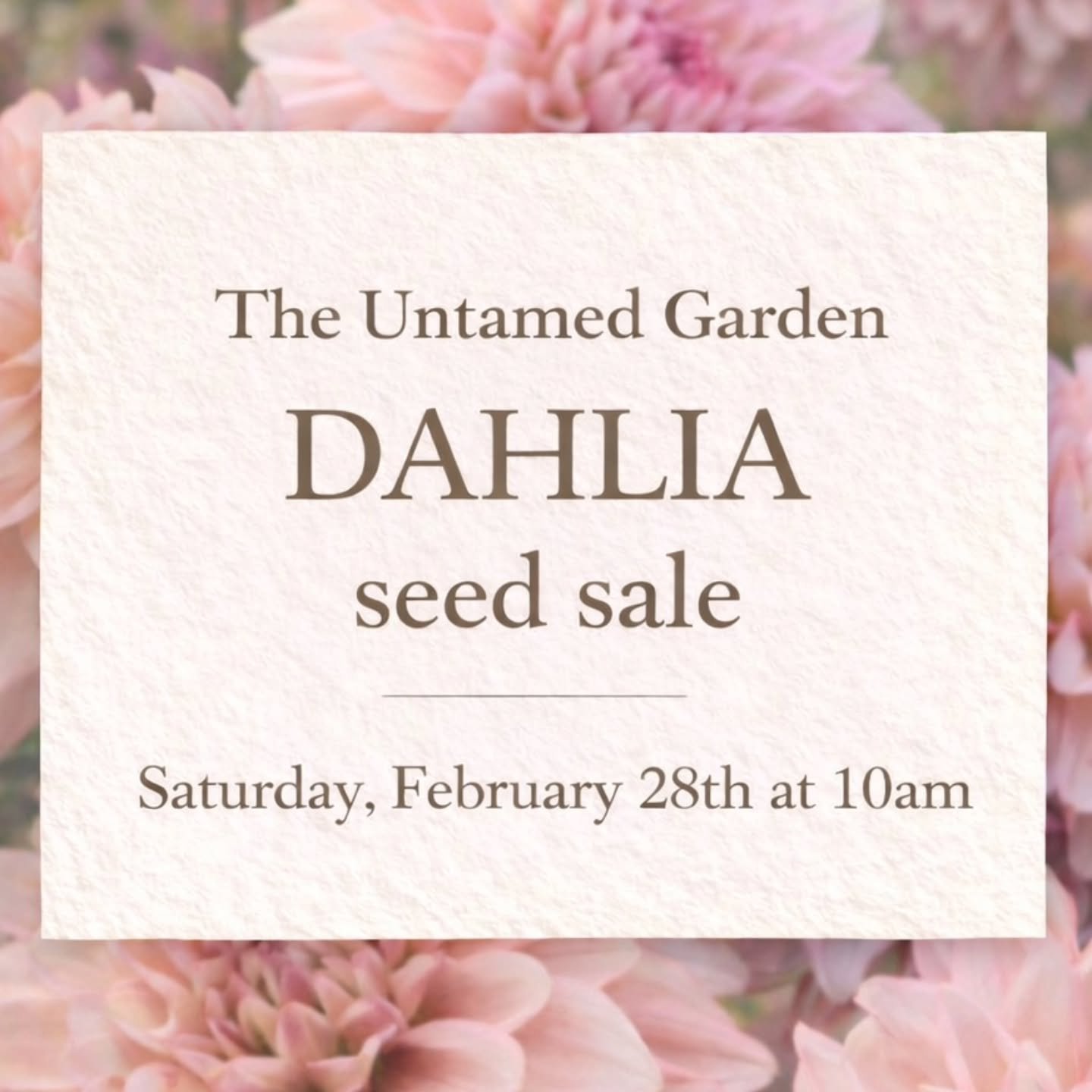 Saturday, 28th of February, 10am 💌