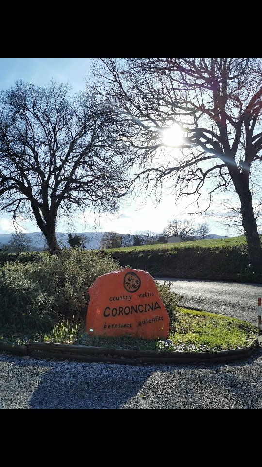 "Getta dalle tue braccia il vuoto
agli spazi che respiriamo; forse gli uccelli nell'aria più vasta, voleranno più intimi voli."
(Rainer Maria Rilke, Elegie Duinesi) #poesia #amore #bellezza #anima #divineguidance 🙏🏽