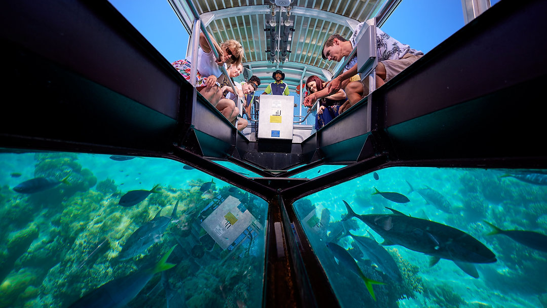 See the reef without getting wet! 🌊🐠 Our latest blog breaks down glass-bottom vs semi-submersible boat tours — what each offers and which one suits your style. Link in Bio
#GreatBarrierReef #ReefTours #GlassBottomBoat #SemiSubmersible #TravelAustralia #EcoTravel #BoatLife #SeeTheReef #TravelTips