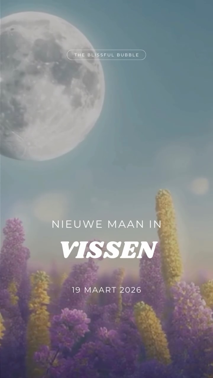 🌑 Nieuwe Maan in Vissen
Dit is de stilte vóór een nieuw begin. Geen actie. Geen haast. Wel voelen wat je niet wil meenemen naar het volgende hoofdstuk.
✨ Ritueel:
Neem een moment met water (douche, bad, handen wassen).
Fluister wat je wil loslaten en laat het symbolisch wegstromen.
Zacht. Zonder forceren.
Wat laat jij hier achter? 🌊✨