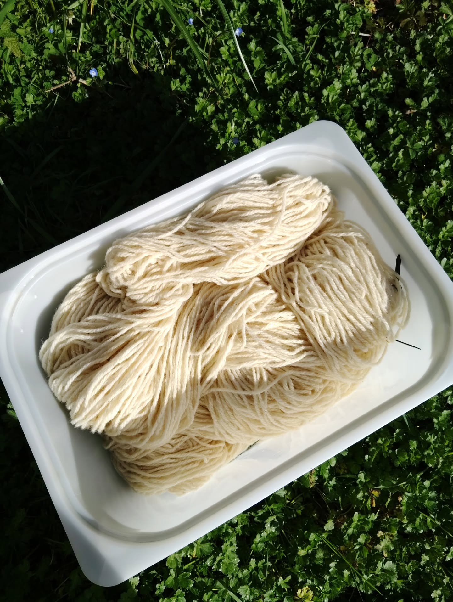 Projet perso aujourd'hui 😌😌