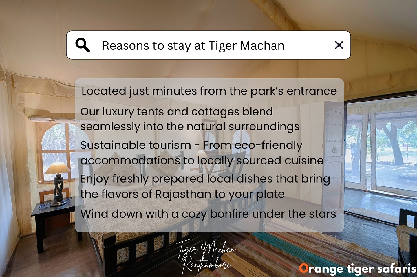 Immerse in Nature’s Luxury at Tiger Machan – Where Comfort Meets the Call of the Wild.
Experience the nature and contact us for more inquiries and bookings :
+91 99505 21870
tigermachan@ymail.com
https://www.ranthamboretigermachan.com
#explorepage #getaway #tigermachan #reelitfeelit #ranthamborediaries #rajasthantourism #ranthambore #tentstay #india #reelsindia #staycation #landoftigers #travel #tigersafari #travelgoals #exploreindia #incredibleindia #ranthamborenationalpark #sawaimadhopur #explore #rajasthan #reels #safari #resortinranthambore #luxurytravel #fyp #MachanSafaris #Orangetigersafaris #farmtotable
{TigerMachanResort , Ranthambore,
RanthamboreNationalPark,TigerSafari,LuxuryTentStay,SafariAdventure,WildlifePhotography,TravelRanthambore,ExploreRanthambore,SafariExperience,RanthamboreWildlife,TravelIndia,JungleResort,TigerWatching,EcoTourism,NatureLovers,TentResort,WildlifeConservation,IndianSafari,RanthamboreTrip,SafariLodge,AdventureTravel,WildernessEscape,TravelDiary,NatureGetaway,LuxurySafari,JungleRetreat,RanthamboreAdventure,TravelInspiration,SafariJourney}