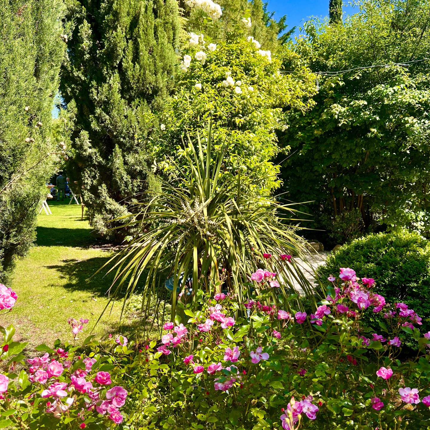 🌿 Des espaces sublimes pour chaque moment fort de votre journée.
#DomaineDeReception #MariageEnProvence #EvenementielProvence #WeddingVenueProvence