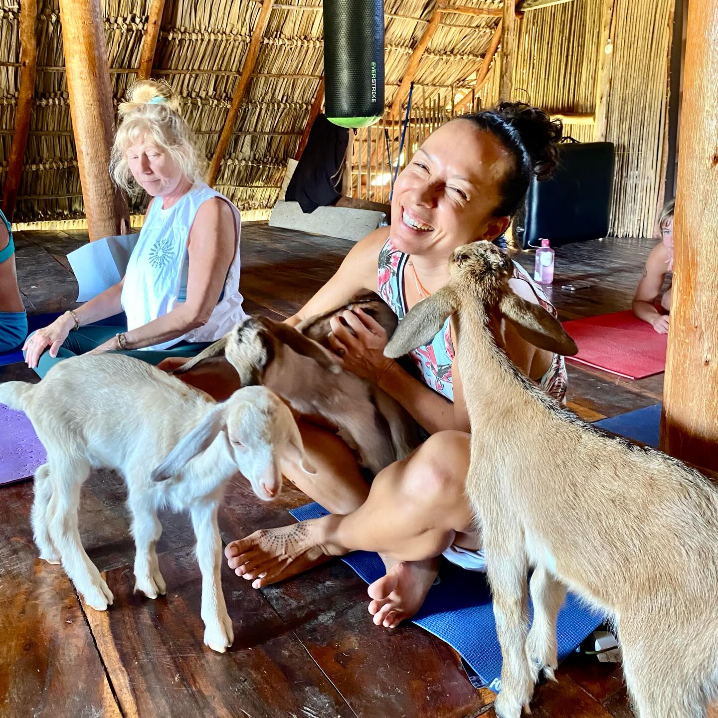 We did this thing called goat yoga. 🐐🩵