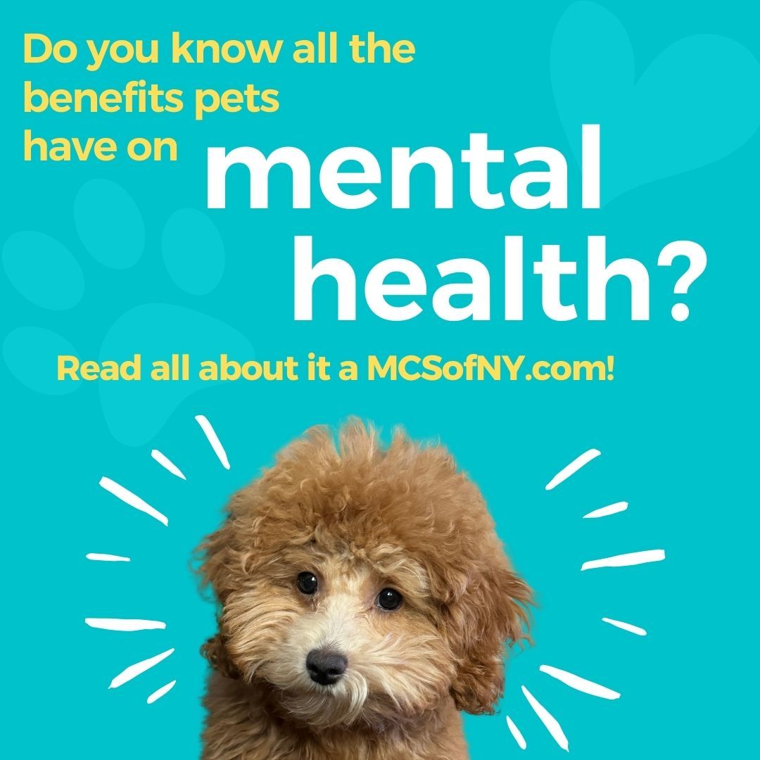🌟 New Blog Alert! 🐾✨
Our latest post dives into The Benefits of Pets on Mental Health 🧠. Whether it’s the unconditional love of a dog or the calming presence of a cat, pets can play a huge role in boosting your emotional well-being. Learn how our furry friends help reduce stress, combat loneliness, and even improve mood! 🐶🐱
Check it out now (link in bio!) and discover why pets are more than just companions—they’re mental health heroes! 🦸🏽♀️🐾 #MentalHealthMatters #PetsAndWellness #MindfulnessMoments #SelfCare #dogs #petsofinstagram #puppy #gingerkiwis #ny #poodle #furbaby