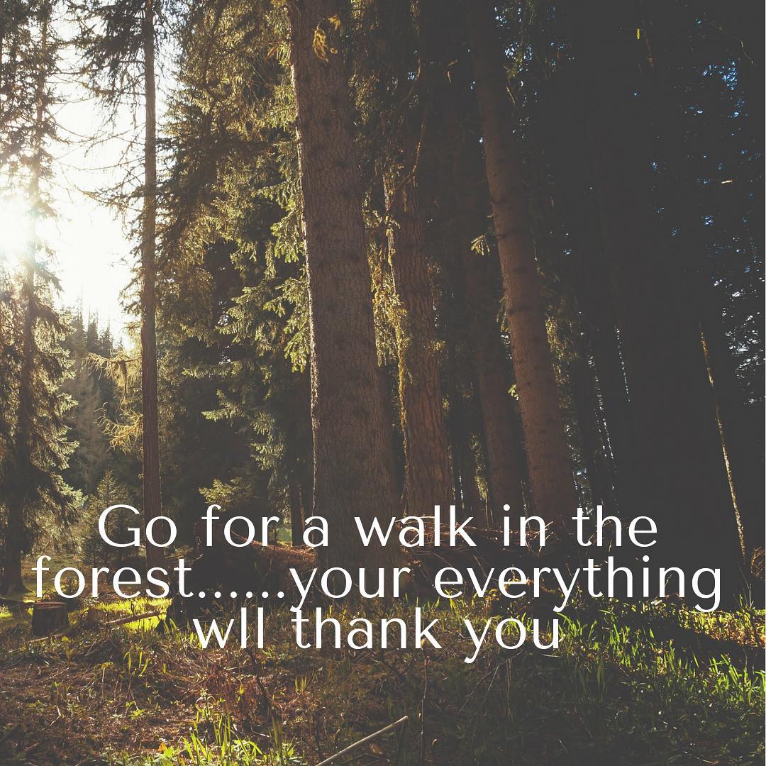Connecting with nature always makes us feel better. Get out there, even for 10 minutes!